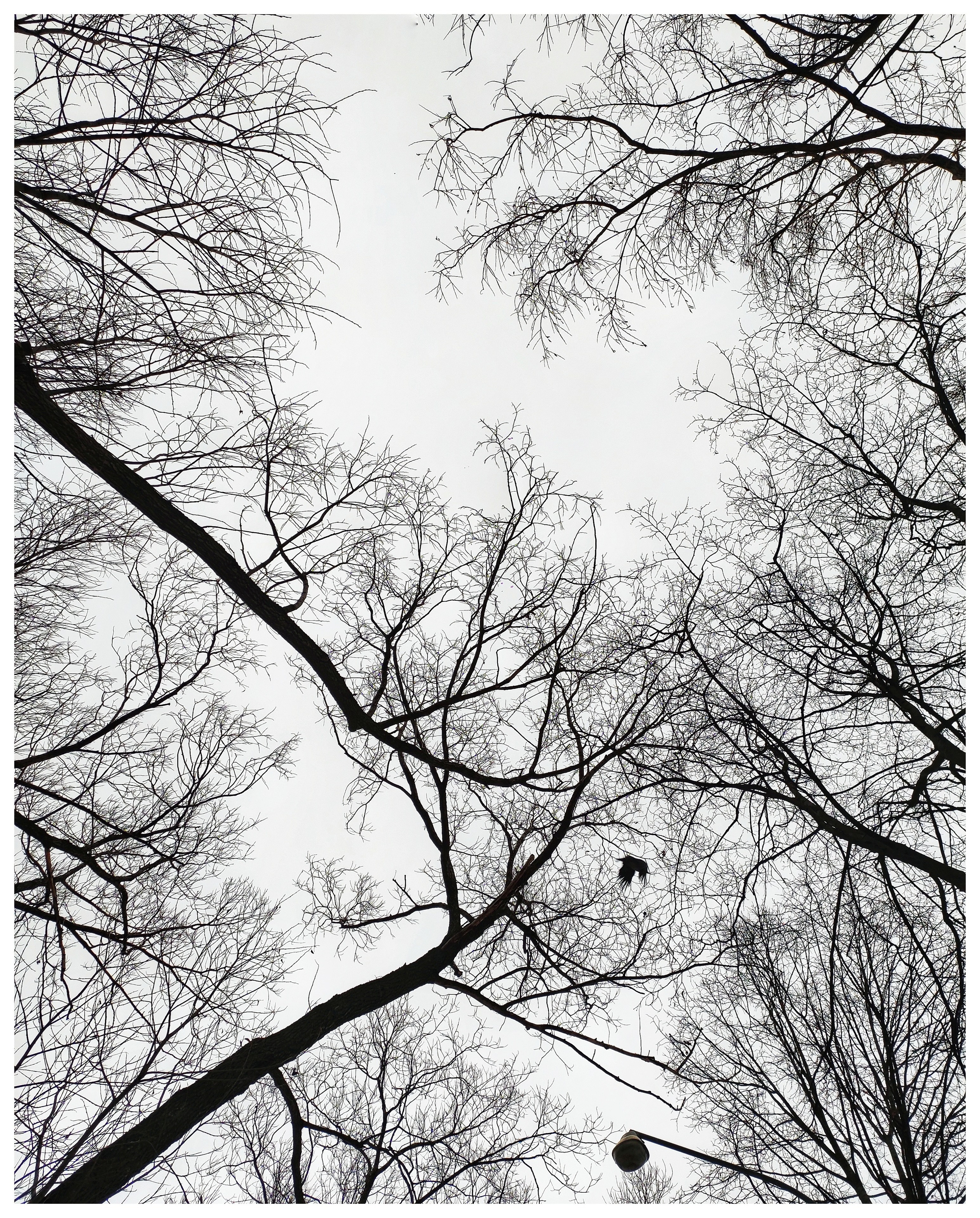 Мир повседневных Вещей. Репортажный и портретный фотограф, Влад Хафизов, Москва