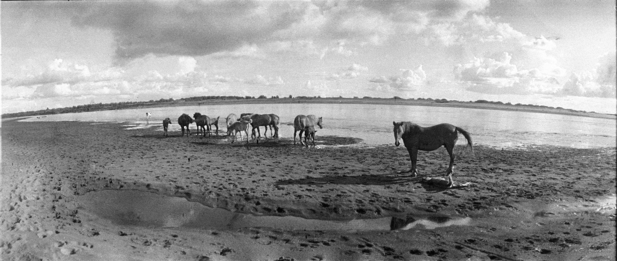 Было лето. Часть 3. ФОТОГРАФ ЛИЛИЯ БИЧУРИНА
