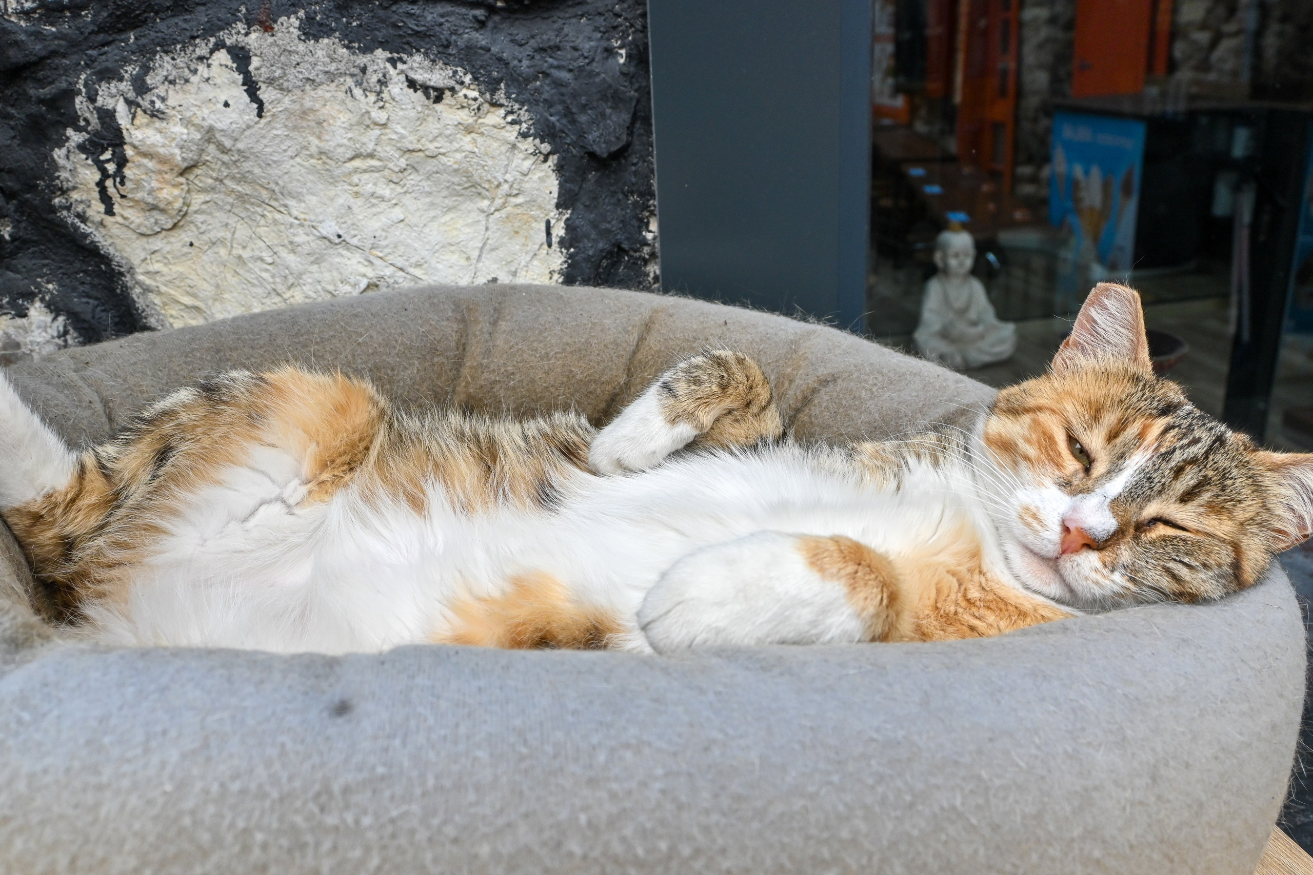 Тревел фото