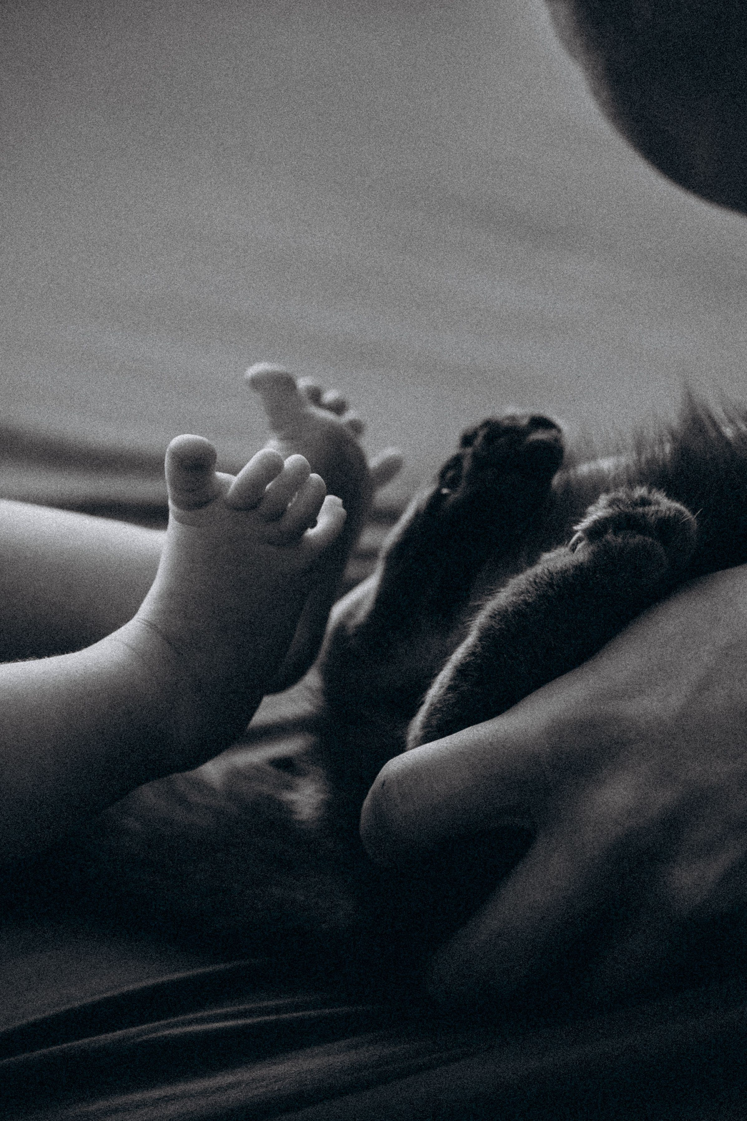 Пама мама и сынок. Семейный фотограф Нижневартовск Тюмень Ефимова Ирина