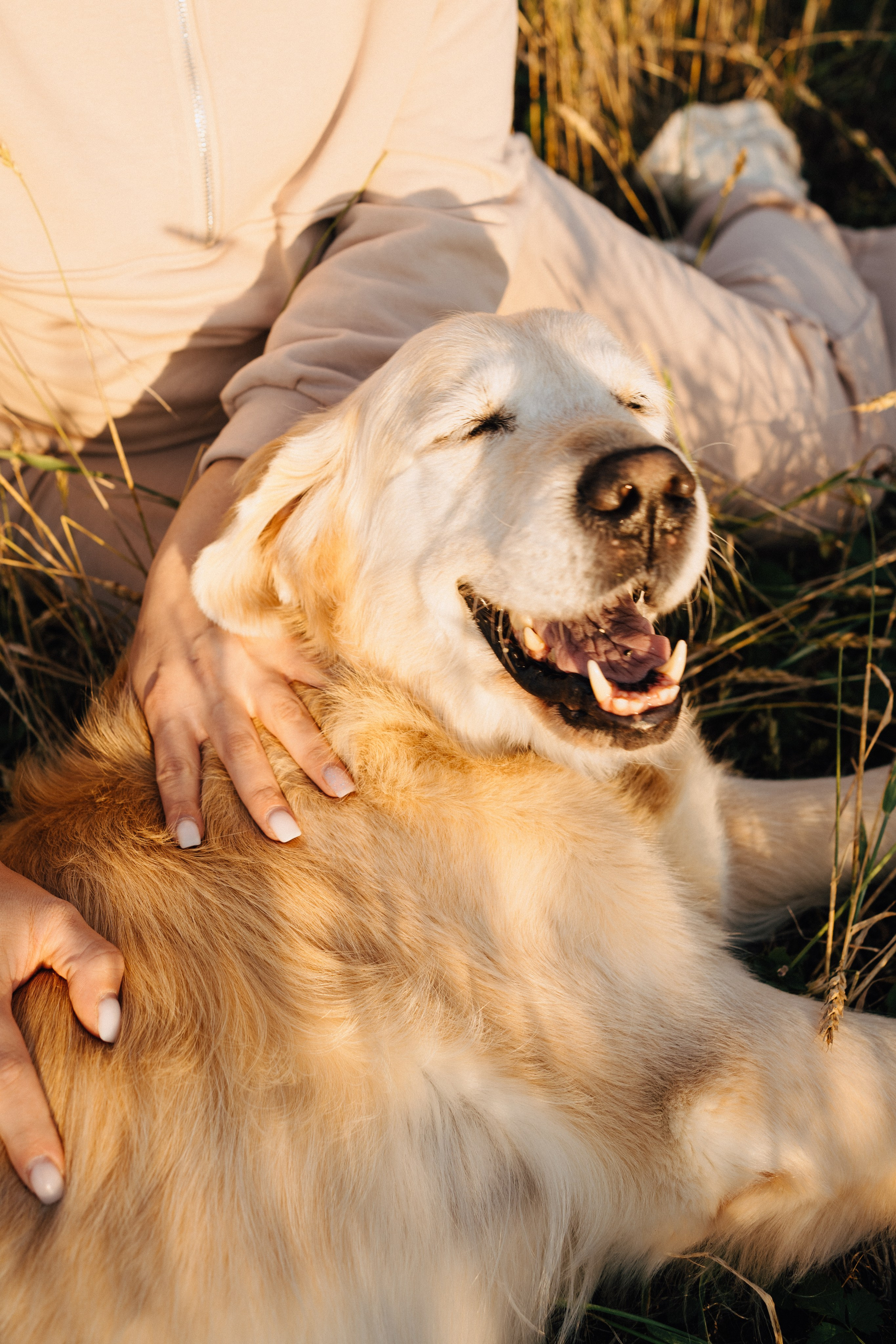 Дарья, Люба и Ред. Фотограф-анималист Анастасия Большакова