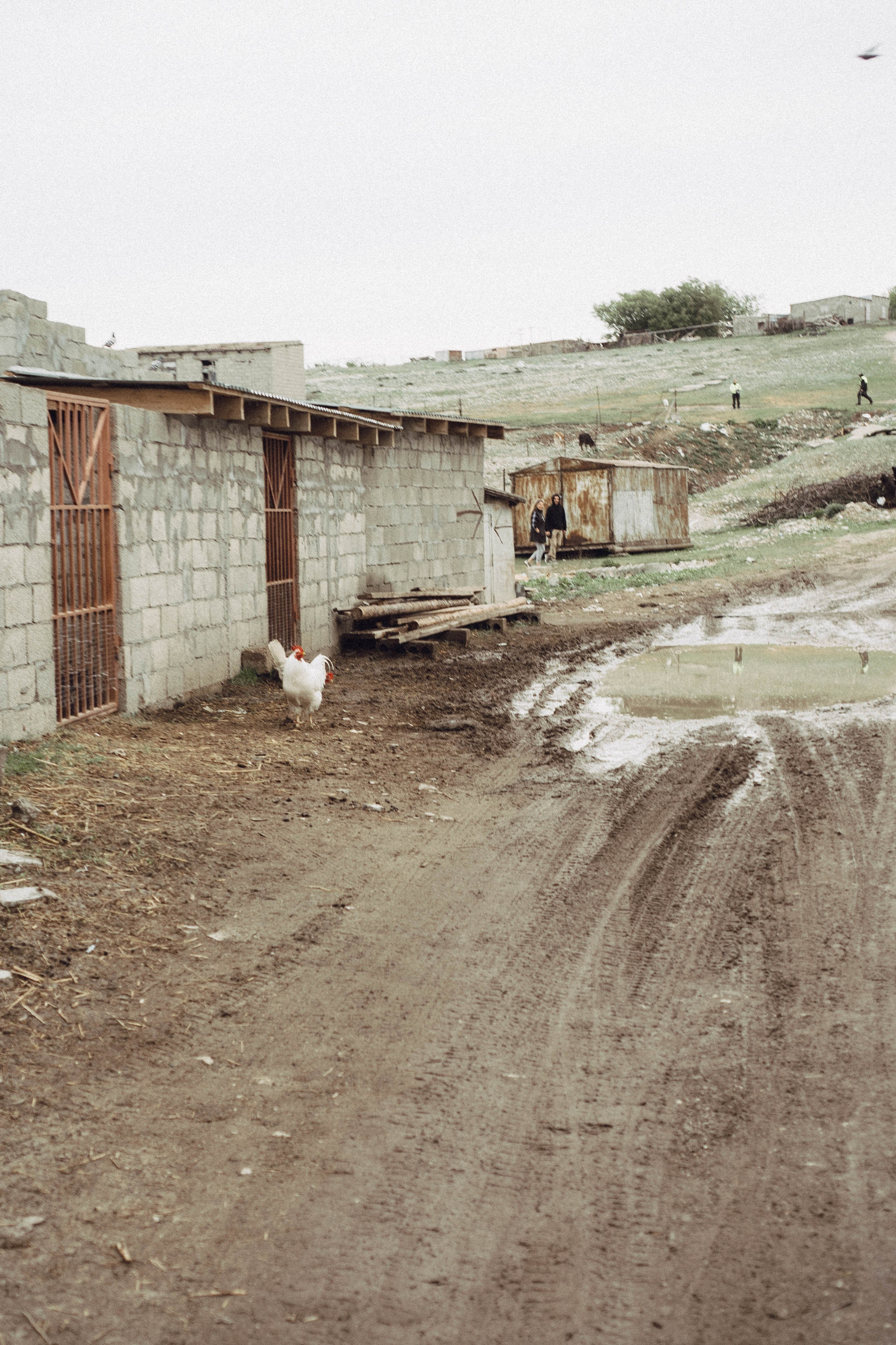 Кавказ. Профессиональный фотограф, Санкт-Петербург — Виктория Богомолова