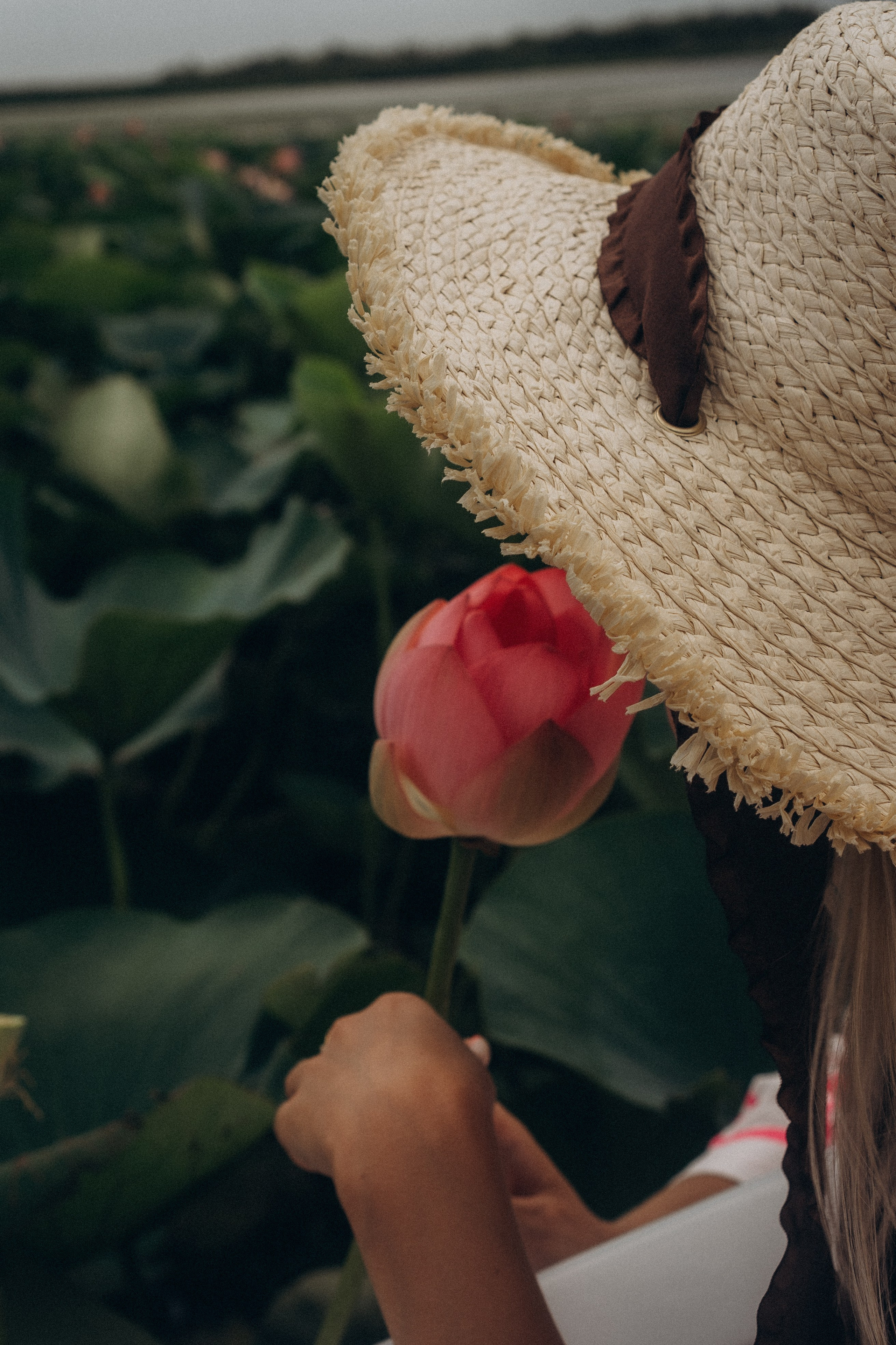 ЛОТОСОВАЯ ПОЛЯНА. Профессиональный фотограф, Санкт-Петербург — Виктория Богомолова