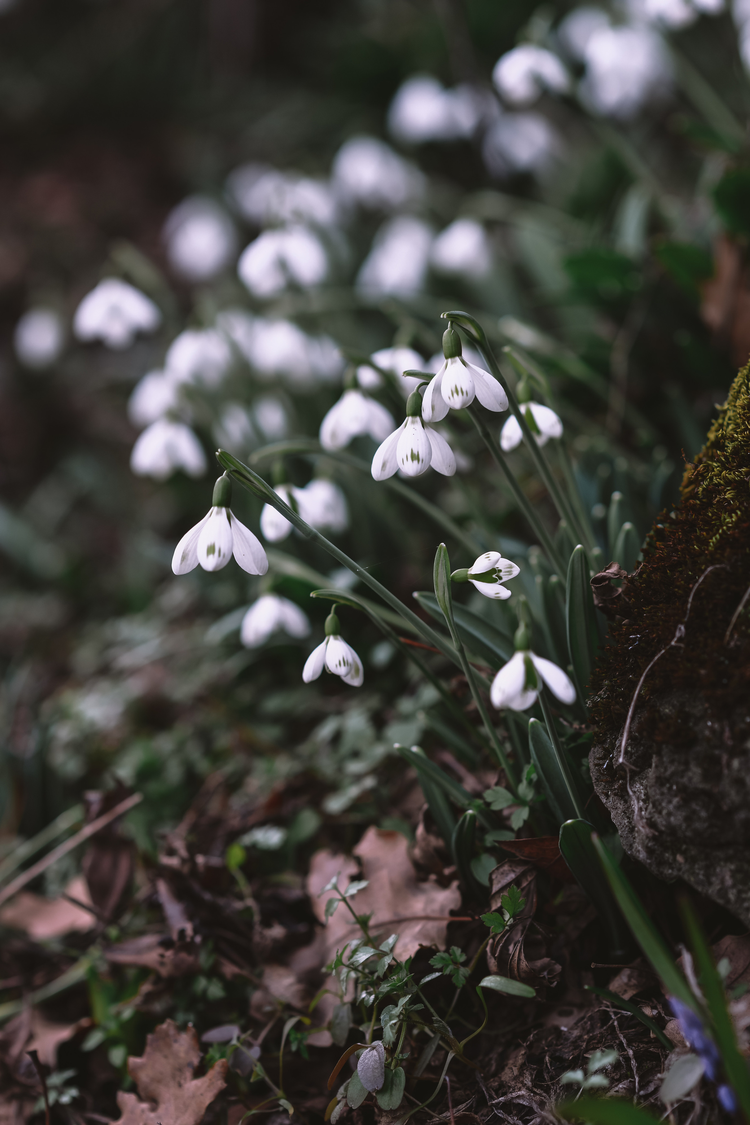 Пейзажи Крыма. Свадебный фотограф в Крыму