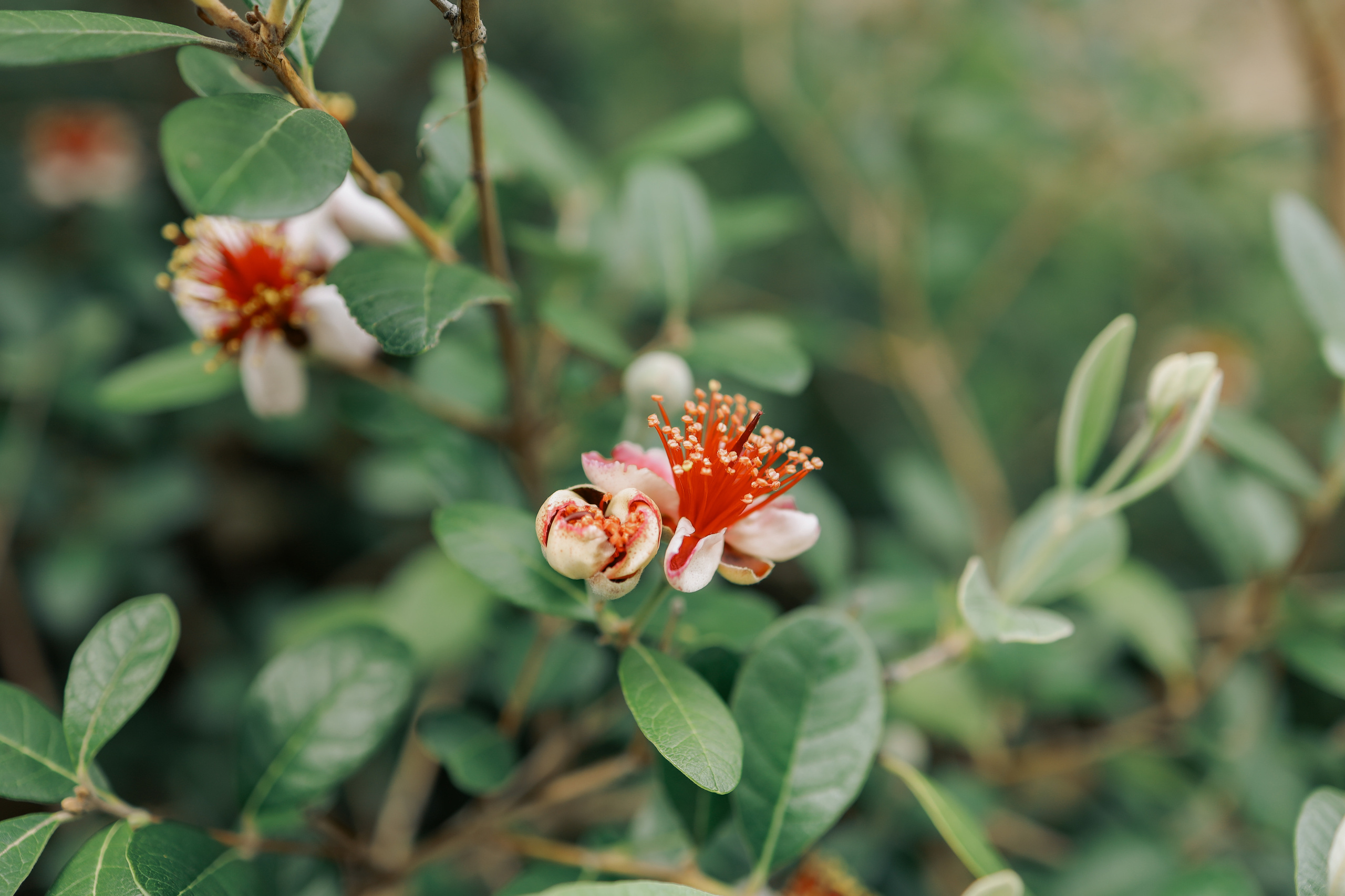 Пейзажи Крыма. Свадебный фотограф в Крыму