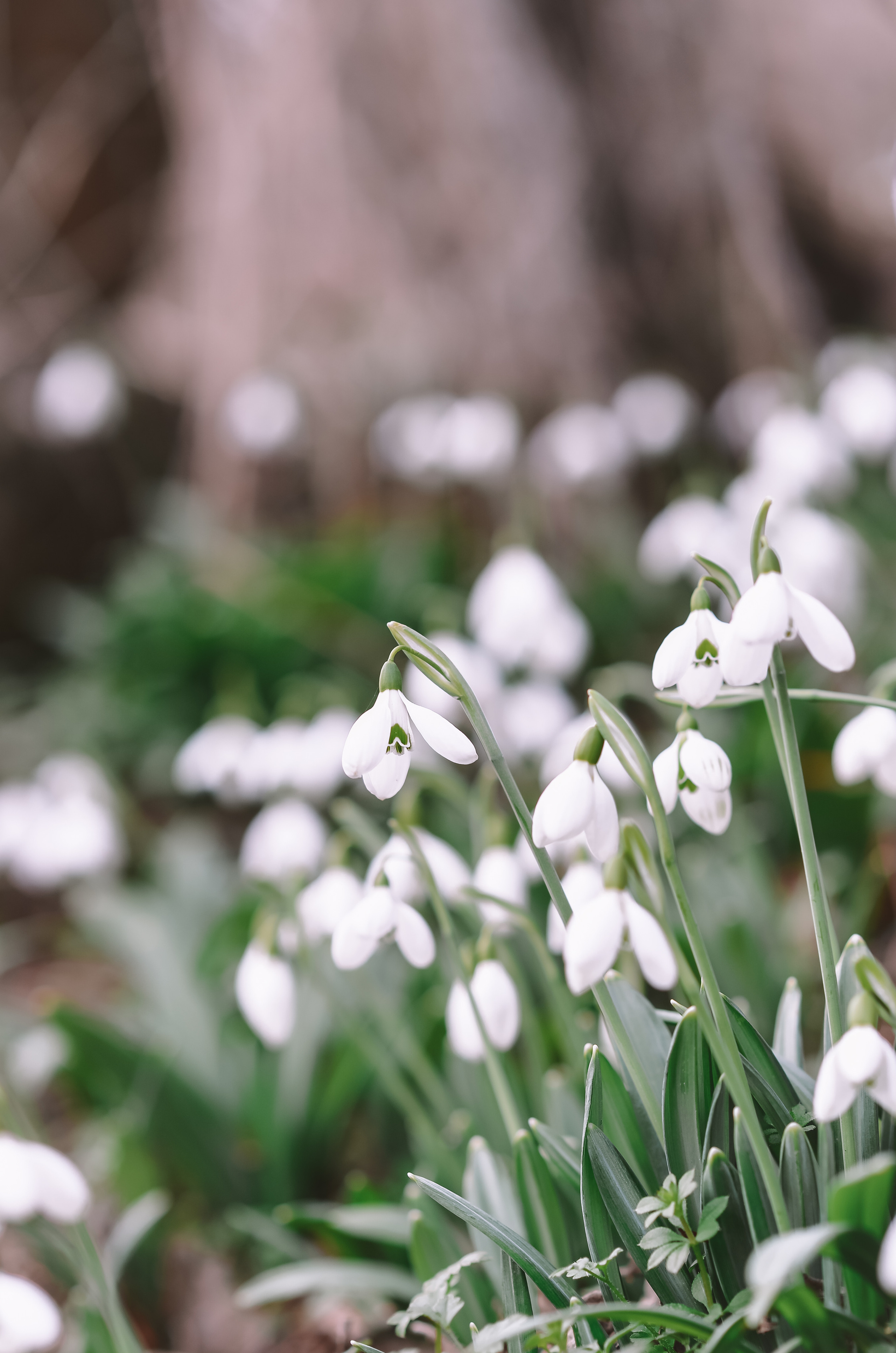 Пейзажи Крыма. Свадебный фотограф в Крыму