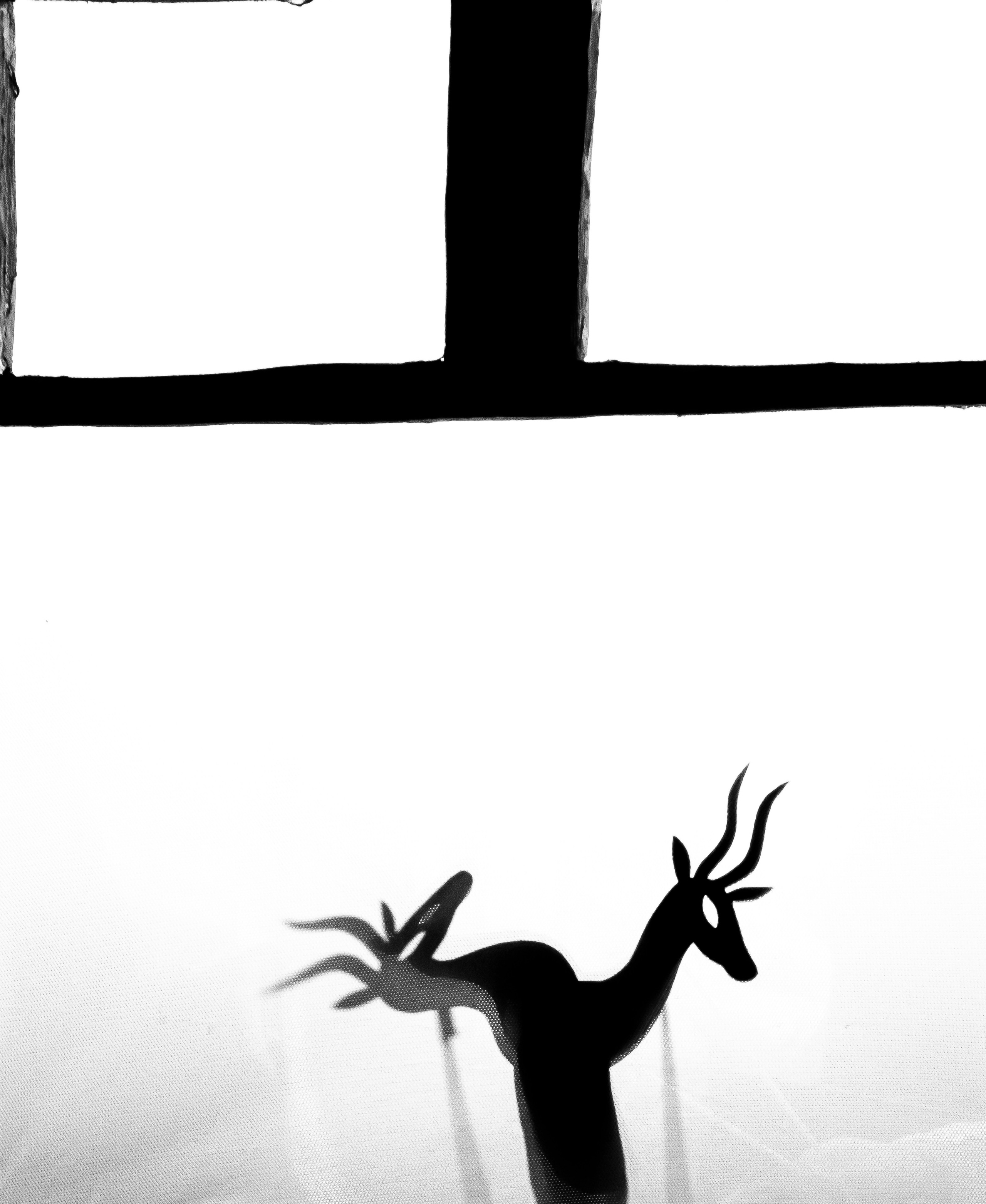 Тараканище спектакль кукольного театра Саквояж — премьера. Фотограф в Сочи Юрий Шептаев