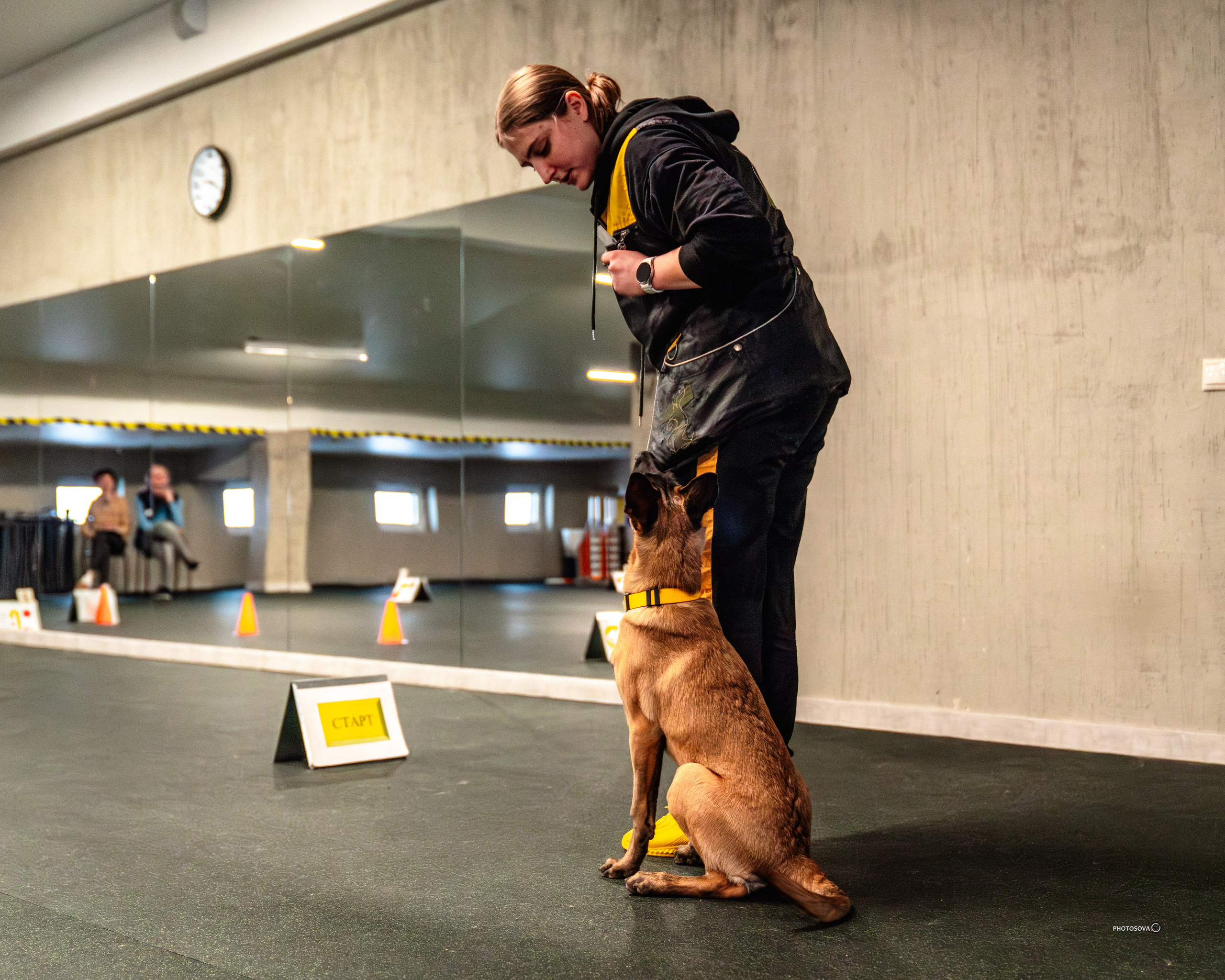 ТЫ И Я (соревнования по ралли-обидиенс). Фотограф-анималист, семейный фотограф в Москве и Подмосковье. Фотосъёмка кинологических дисциплин