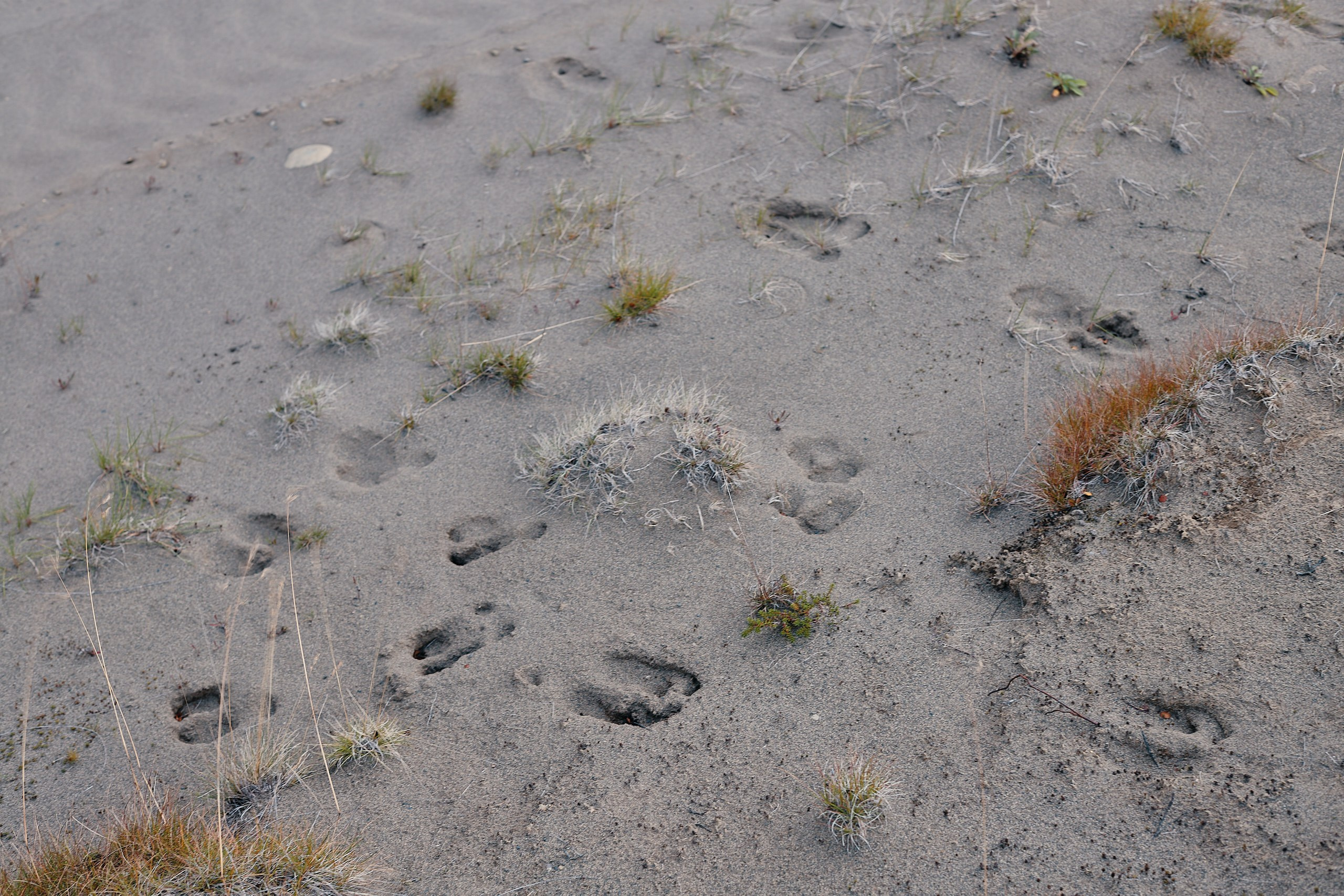 Рыбачий 2023. Место силы. Фотограф Валерий Сабрам