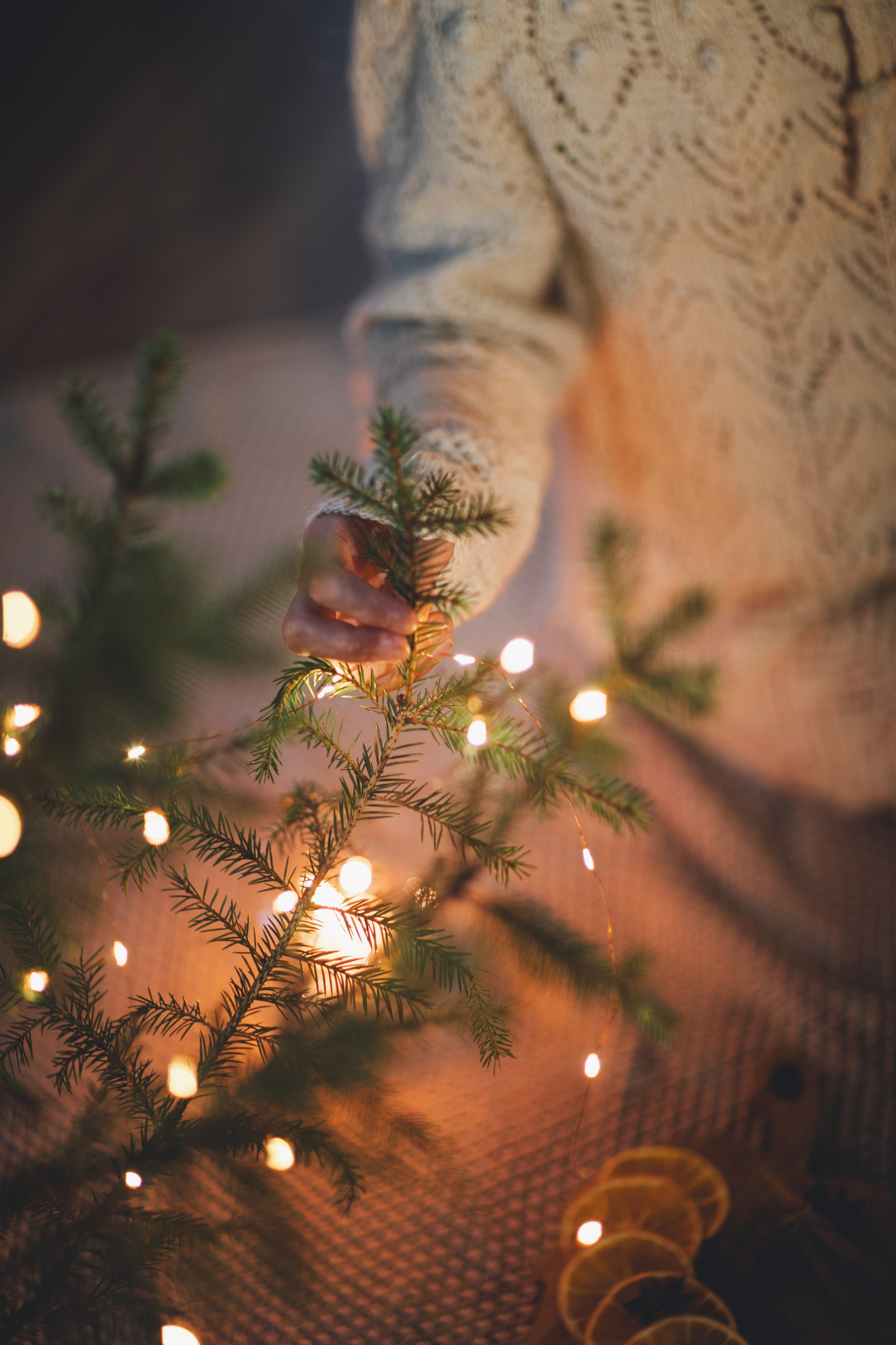 Фототур «Край озер» Зима. Семейный фотограф в Москве Анастасия Гурьянова