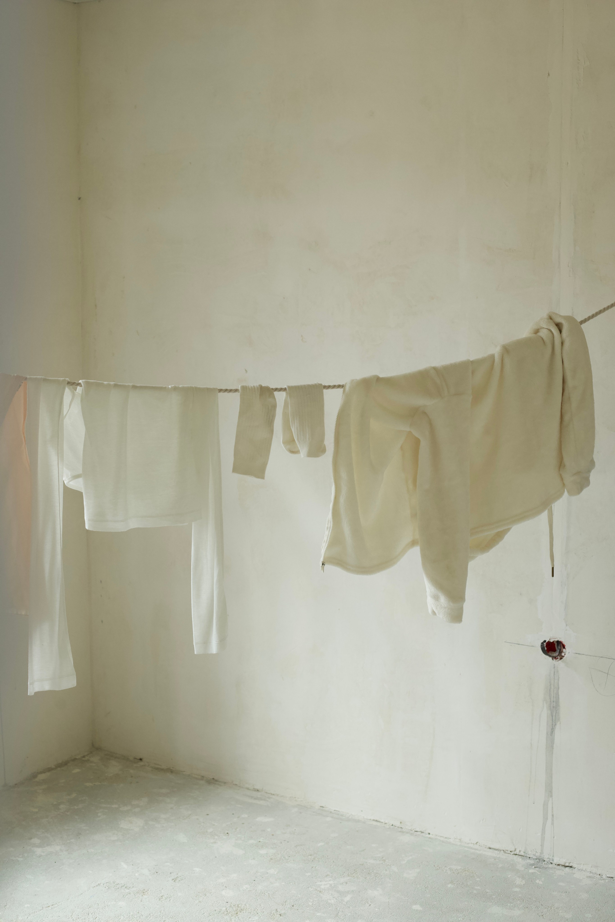 НОЕВ КОВЧЕГ. Художница Екатерина Малышева