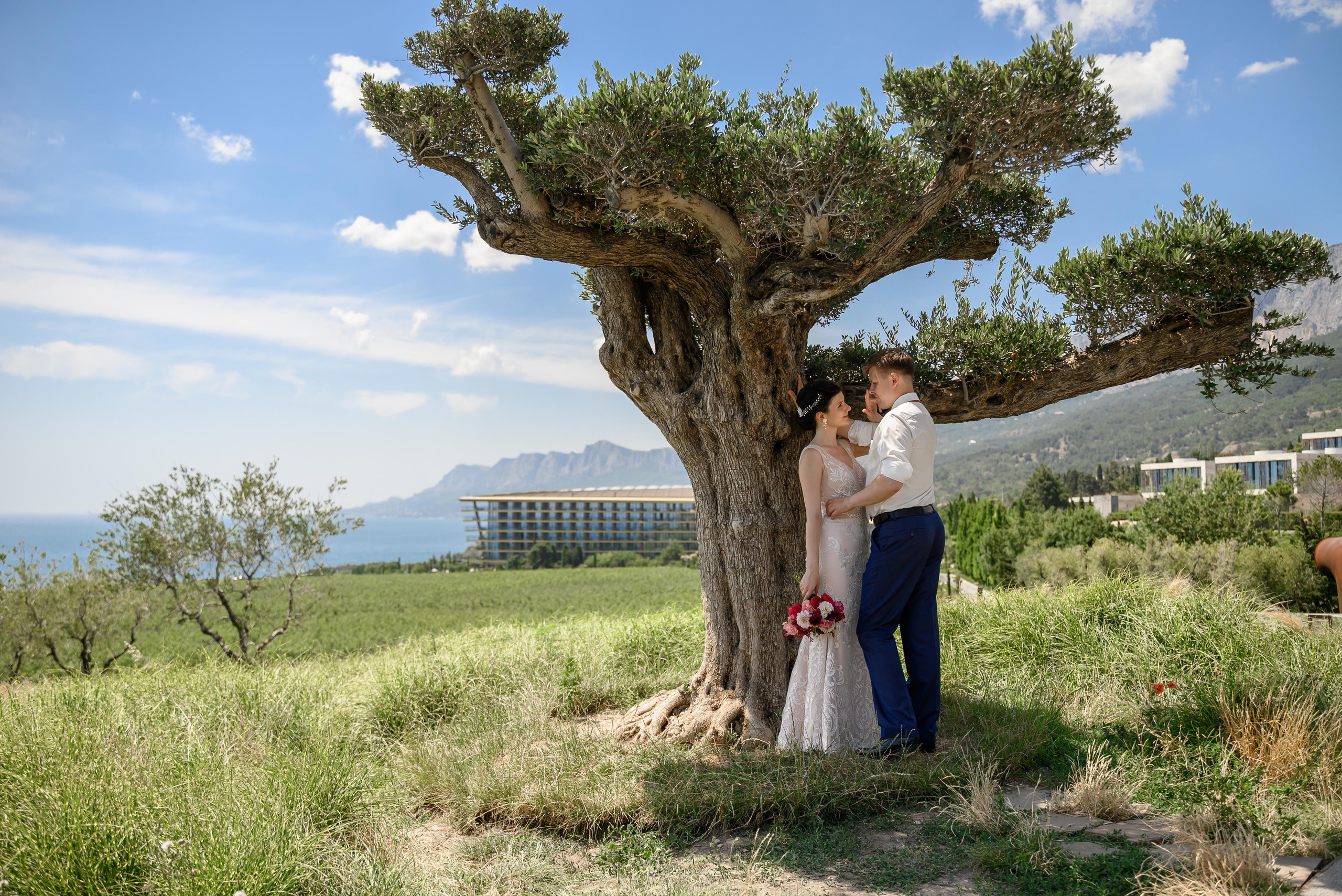 Андрей Надежда. Свадебный фотограф Анна Хочева