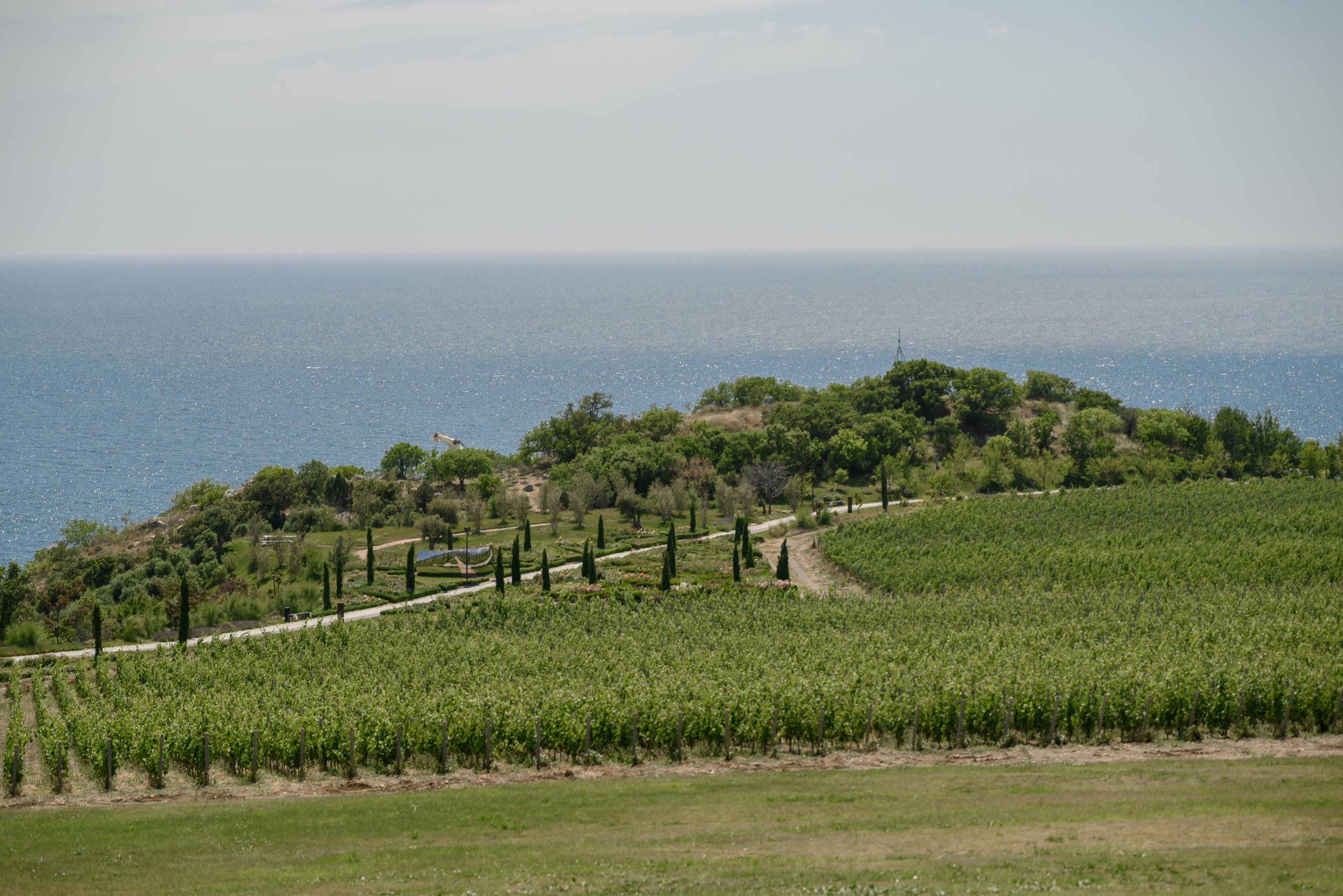Андрей Надежда. Свадебный фотограф Анна Хочева