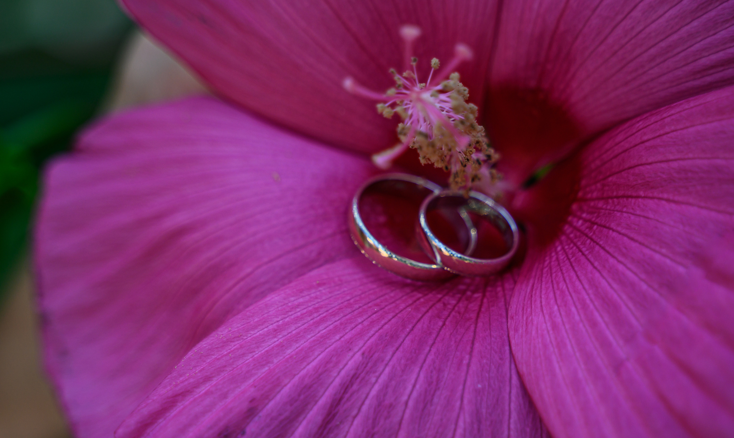 Отзывы. Свадебный фотограф Анна Хочева