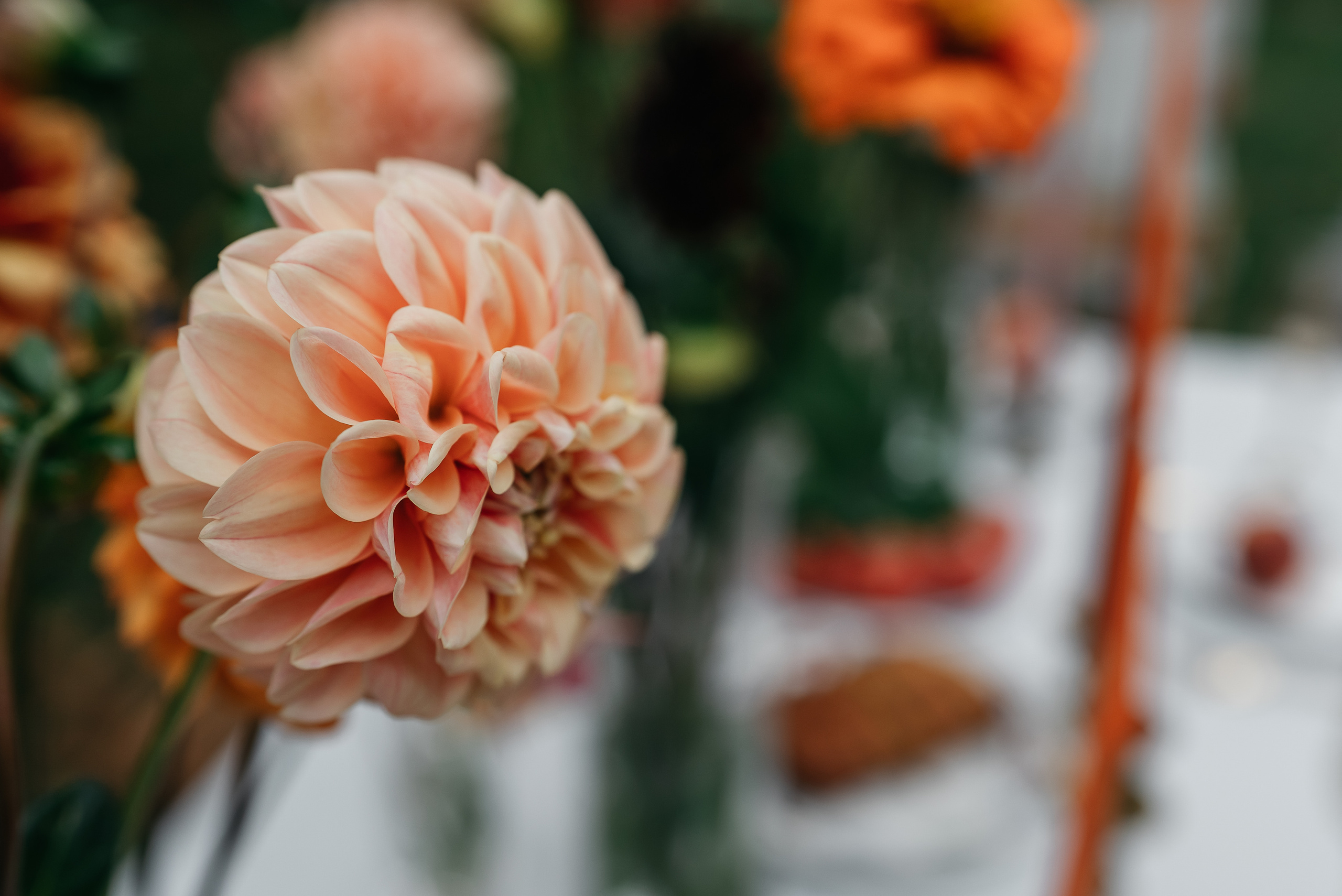 Камерная свадьба в деревенском стиле. Свадебный фотограф Анна Хочева