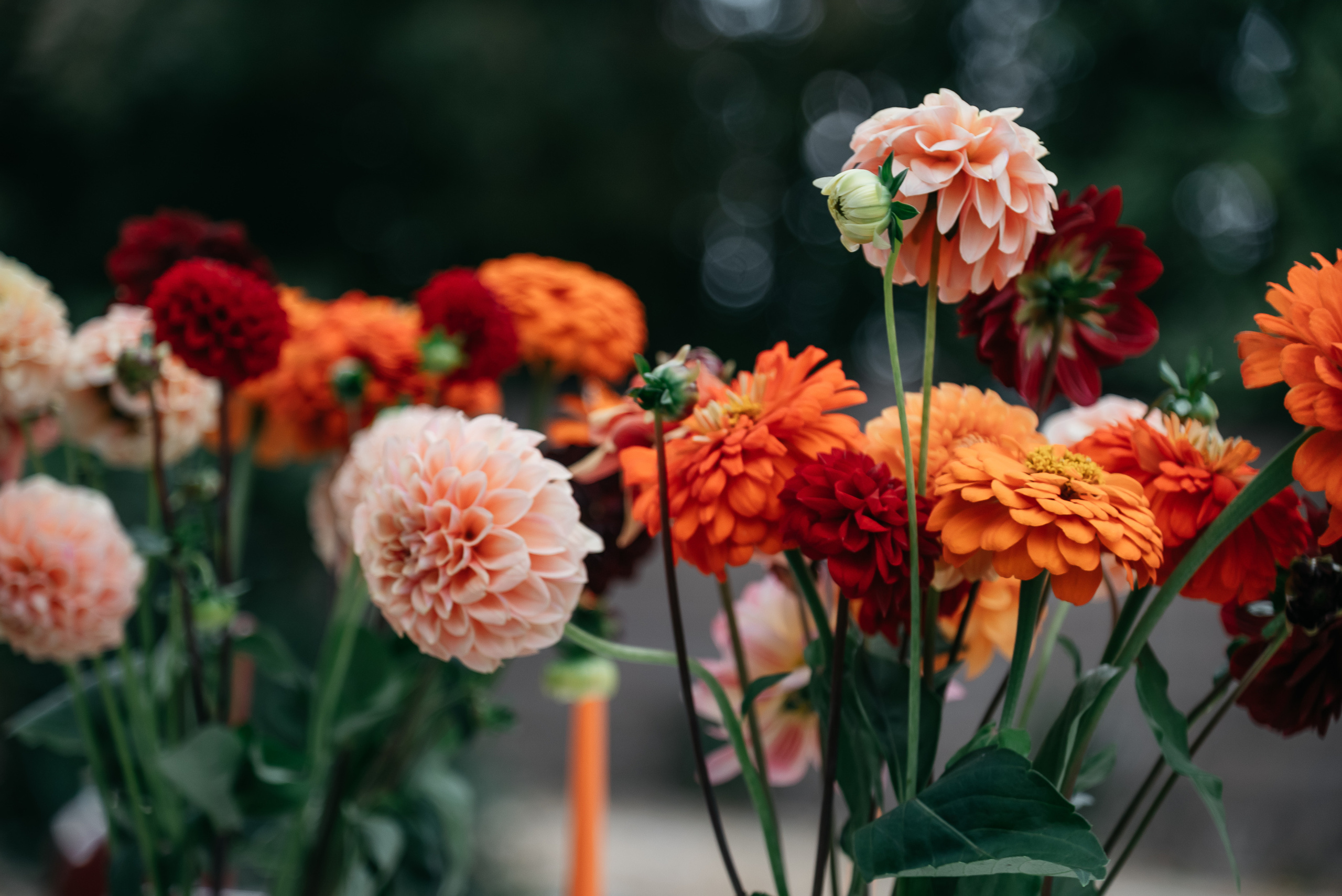 Камерная свадьба в деревенском стиле. Свадебный фотограф Анна Хочева
