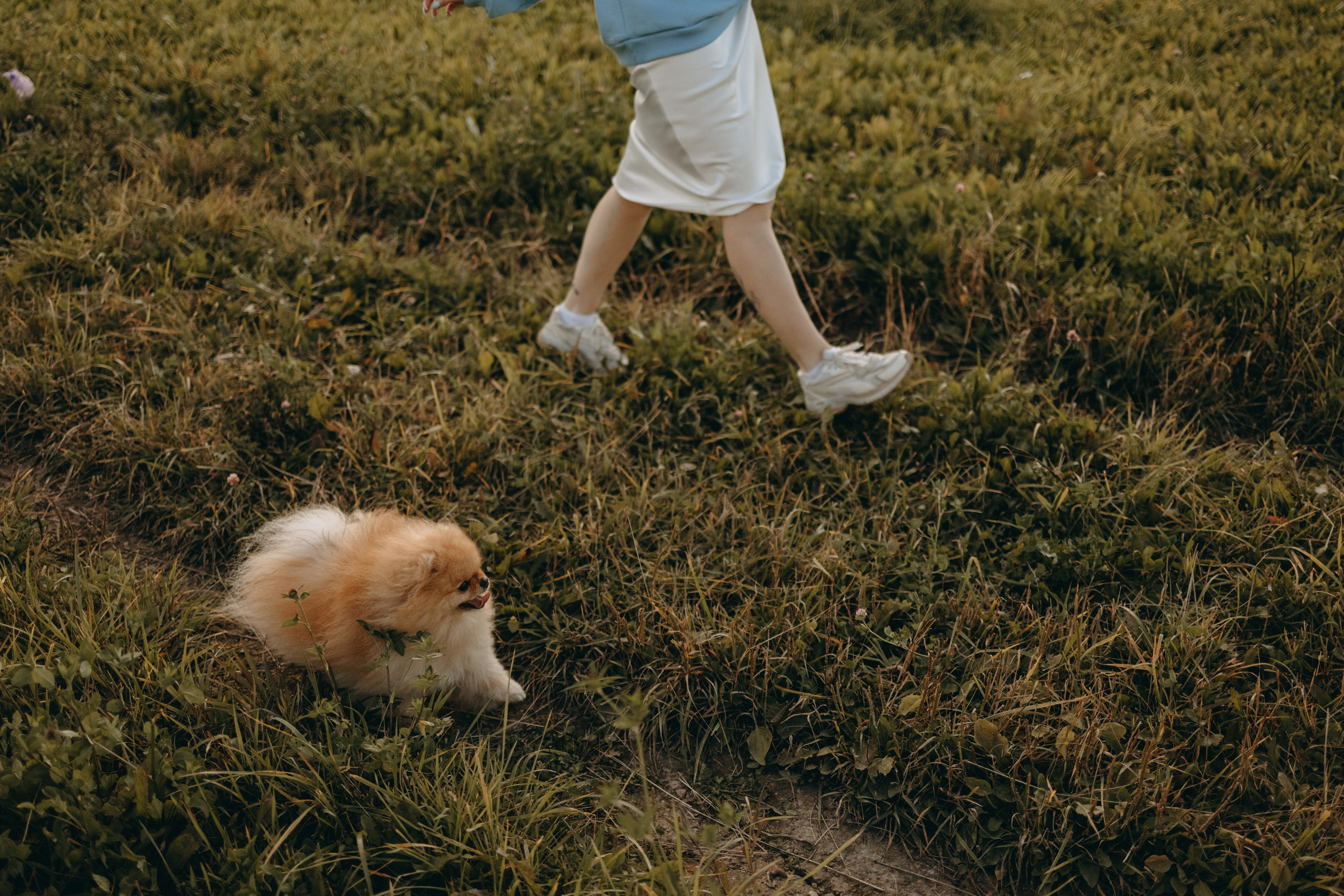 Стив и его семья. Фотограф — Анималист | Санкт-Петербург