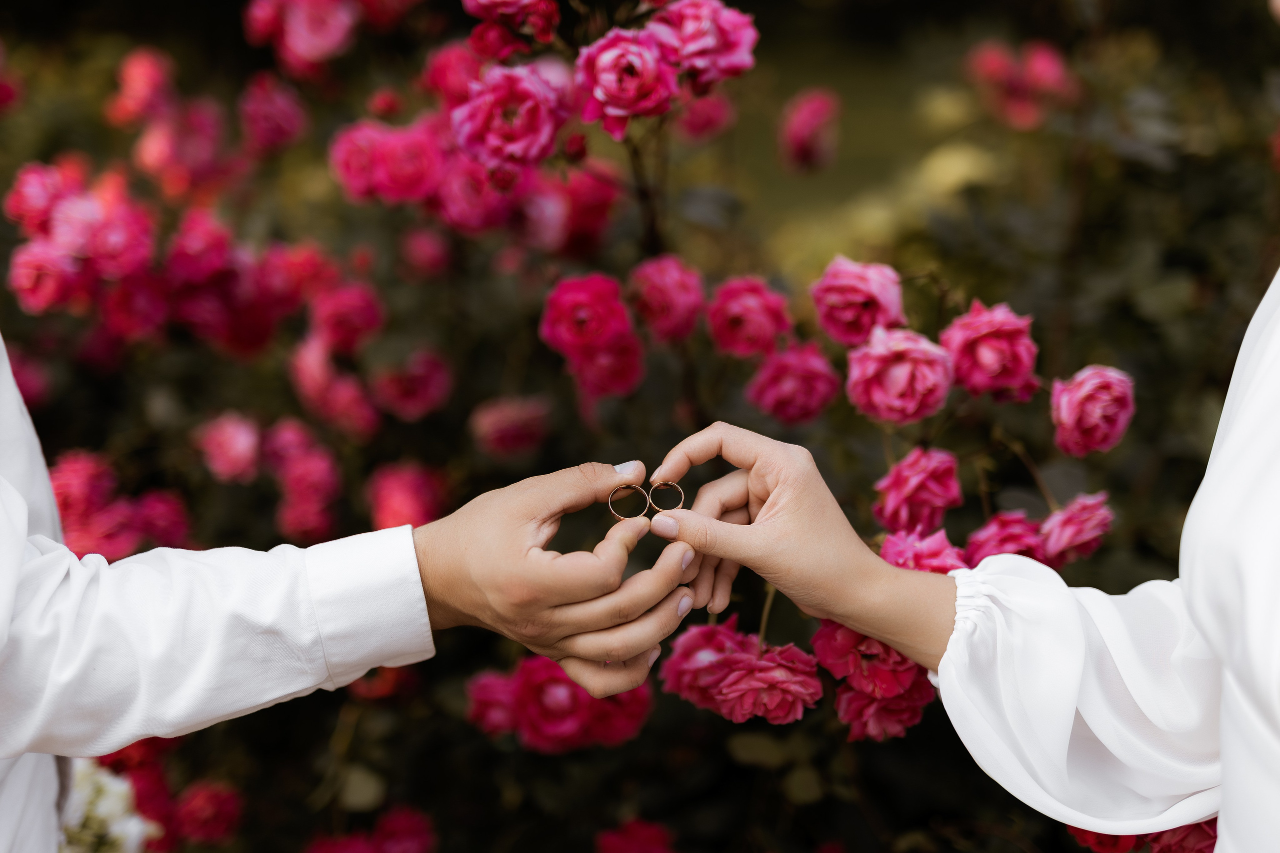 Анна и Алексей. Фотограф Елизавета Князева Сергиев Посад, Москва
