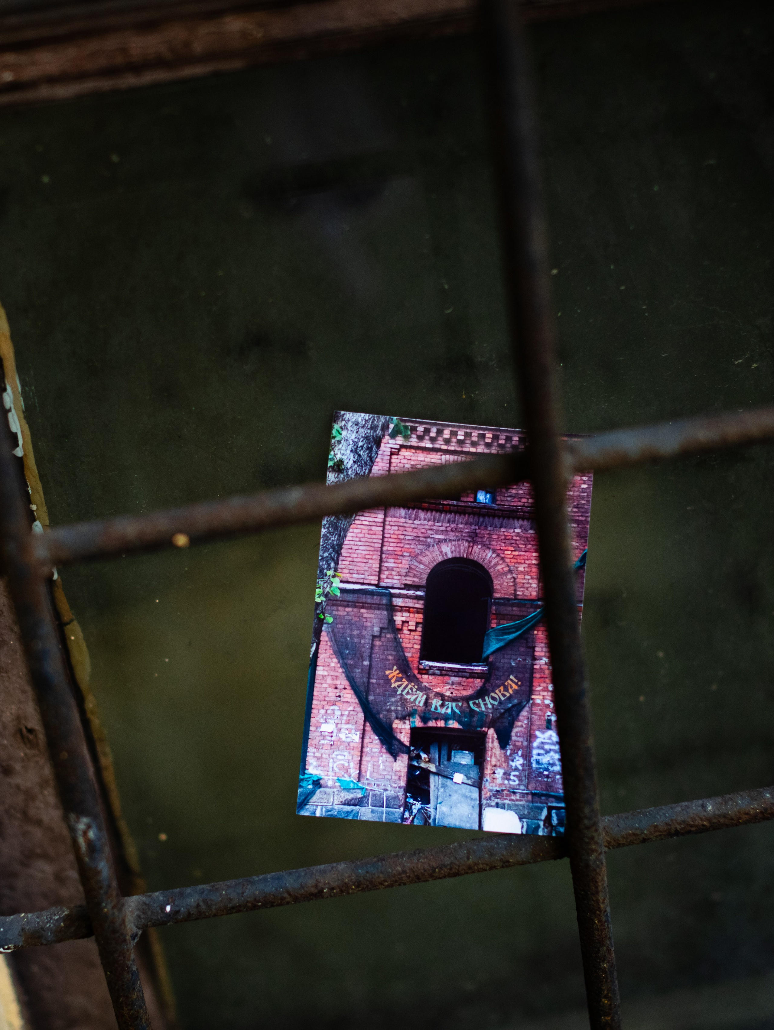 Выставка Ирины Иониной 2024. Фотограф Мария Немм