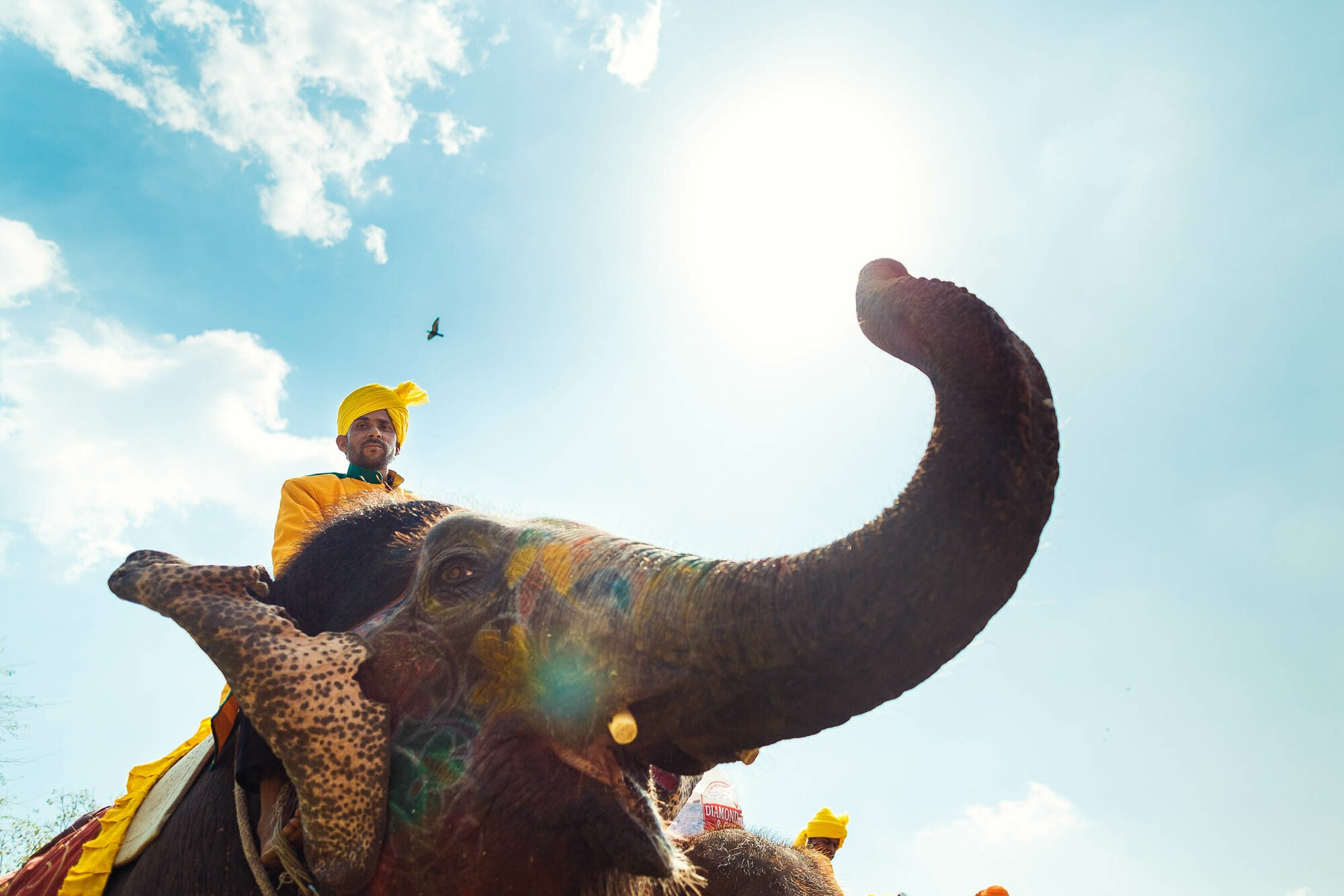 Свадьба в Индии, 1 и 2 день, свадебный репортаж. Свадебный фотограф в Санкт-Петербурге и Москве Андрей Нестеров