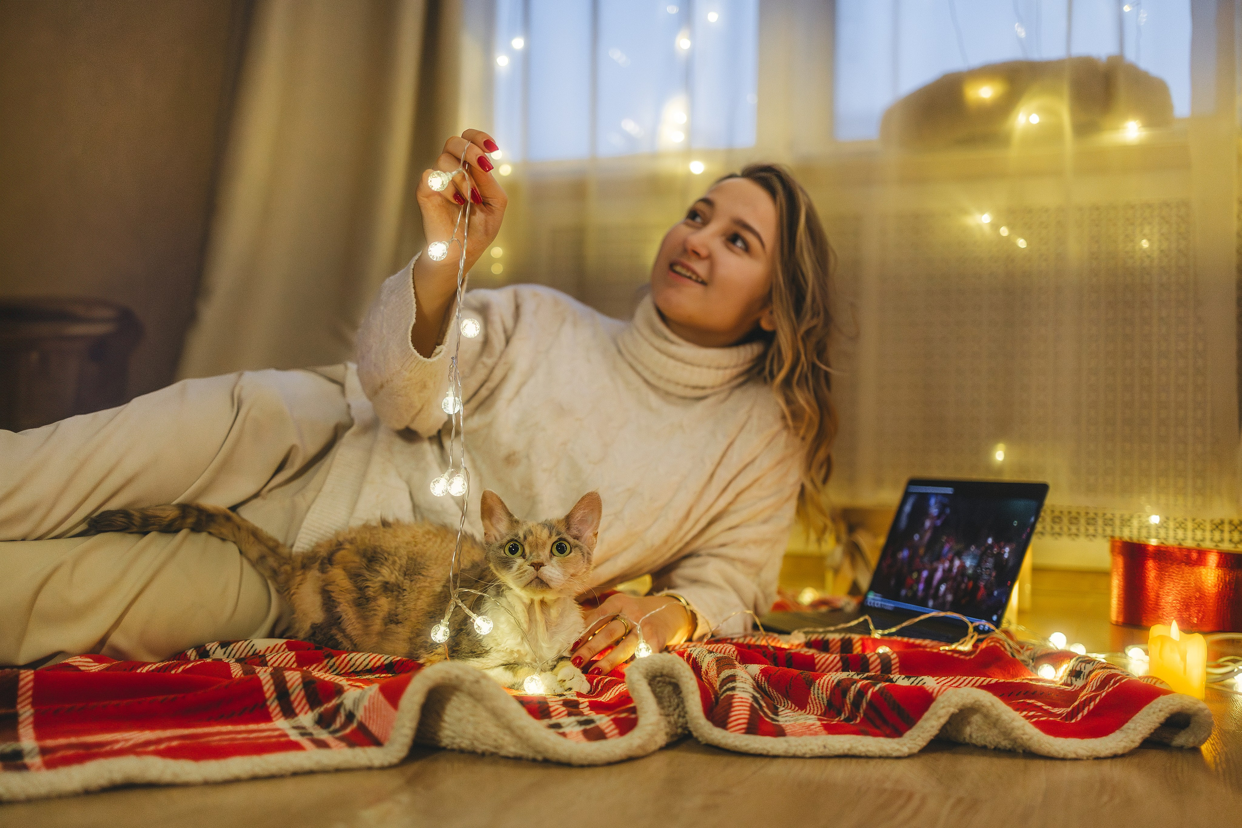 Домашняя новогодняя. Фотограф Анималист в Москве Анастасия Жучкова