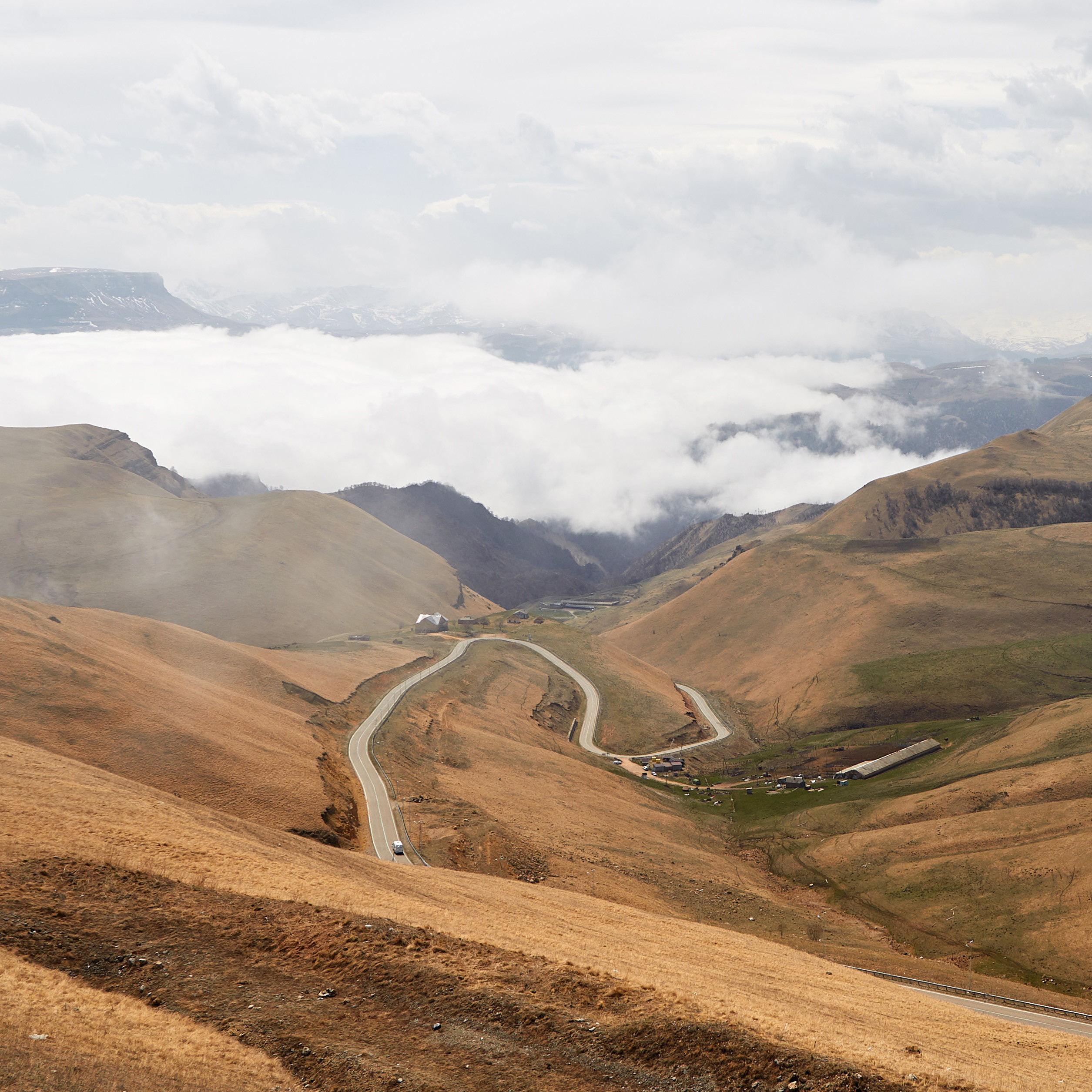 Ира Теличева НЮ Воркшоп Белый фон. Фотограф Тимофей Юров Москва