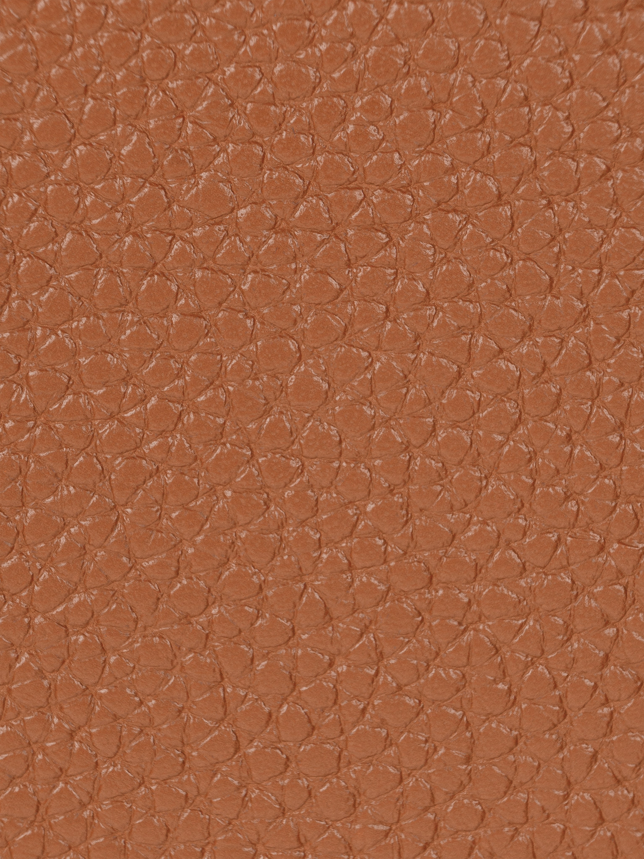 Женские сумки. Макаров Сергей|Creamlebot Фотограф города Ростов-на-Дону