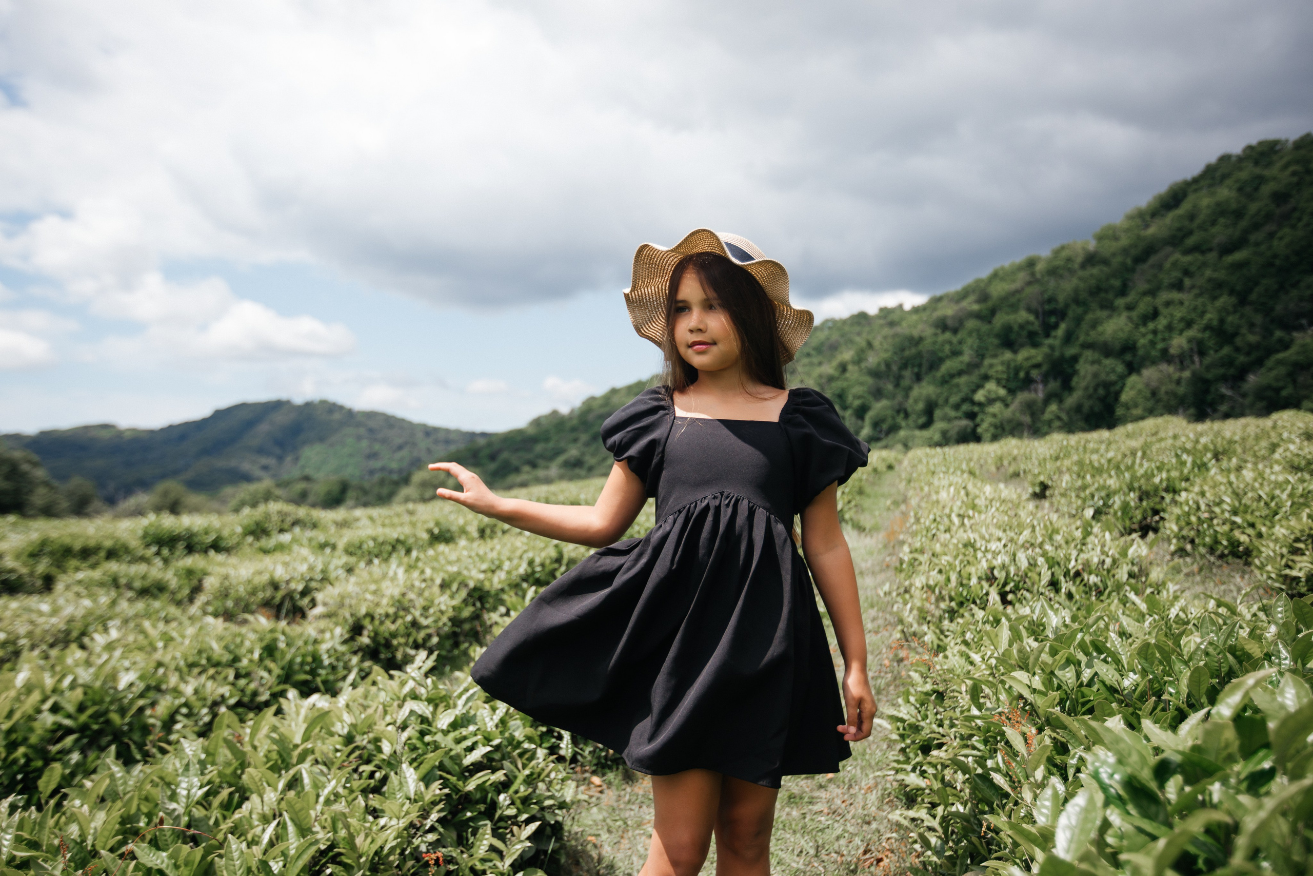 Tea plantation. Efimova Model Agency