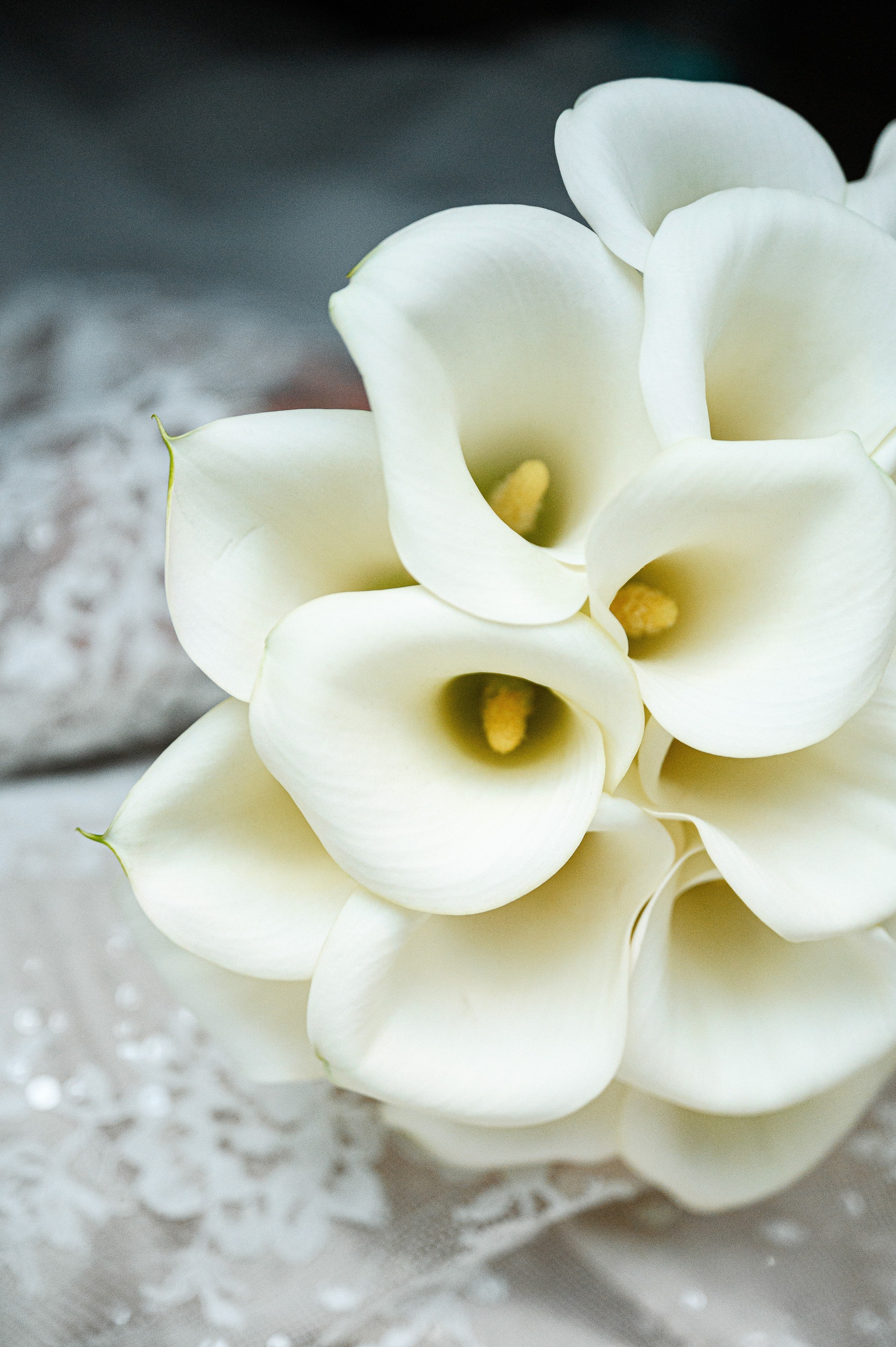 Илья & Алина