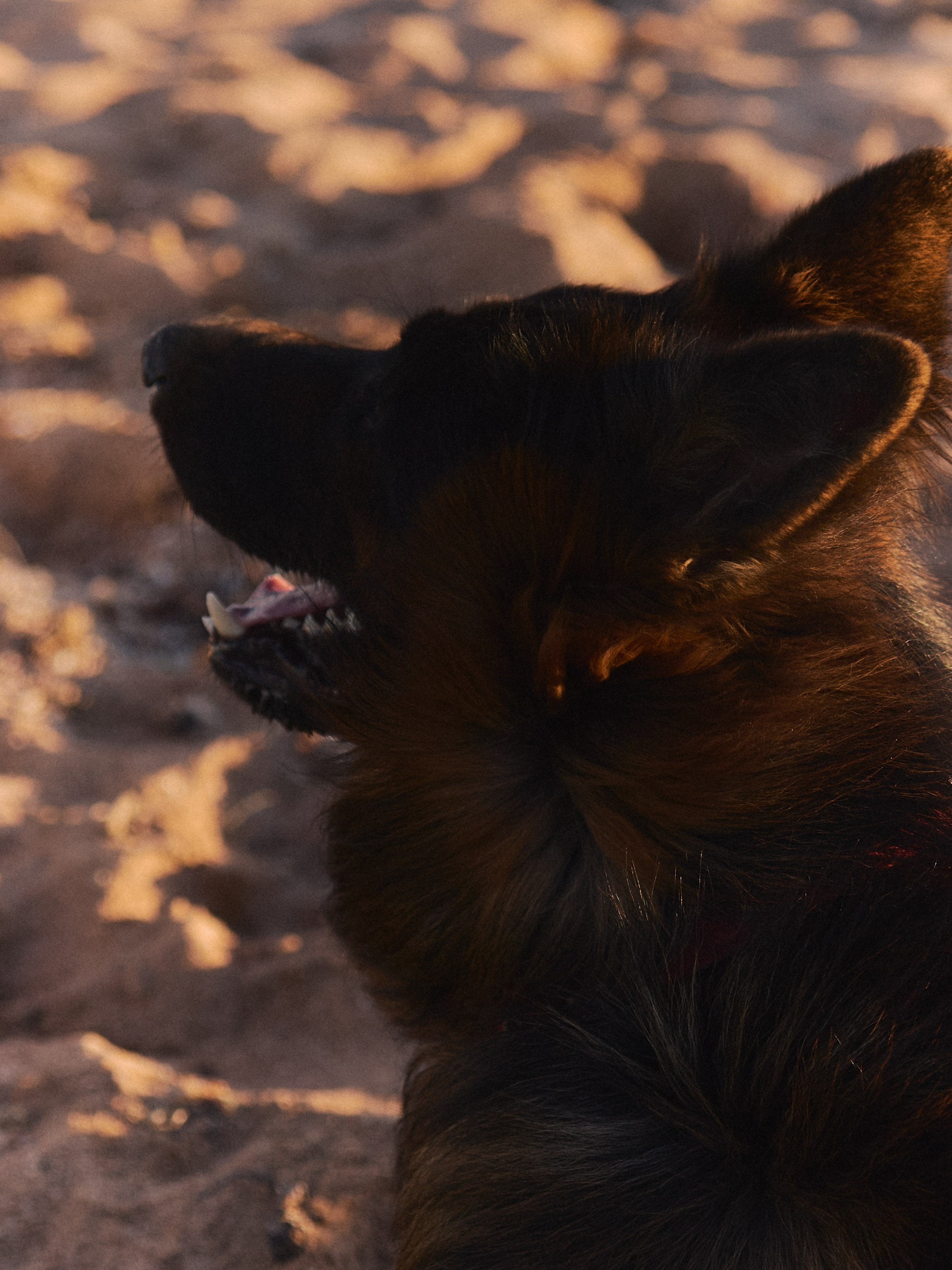 Природа. Jorgis Talè — photographer, kind person, teacher of arts and other mag