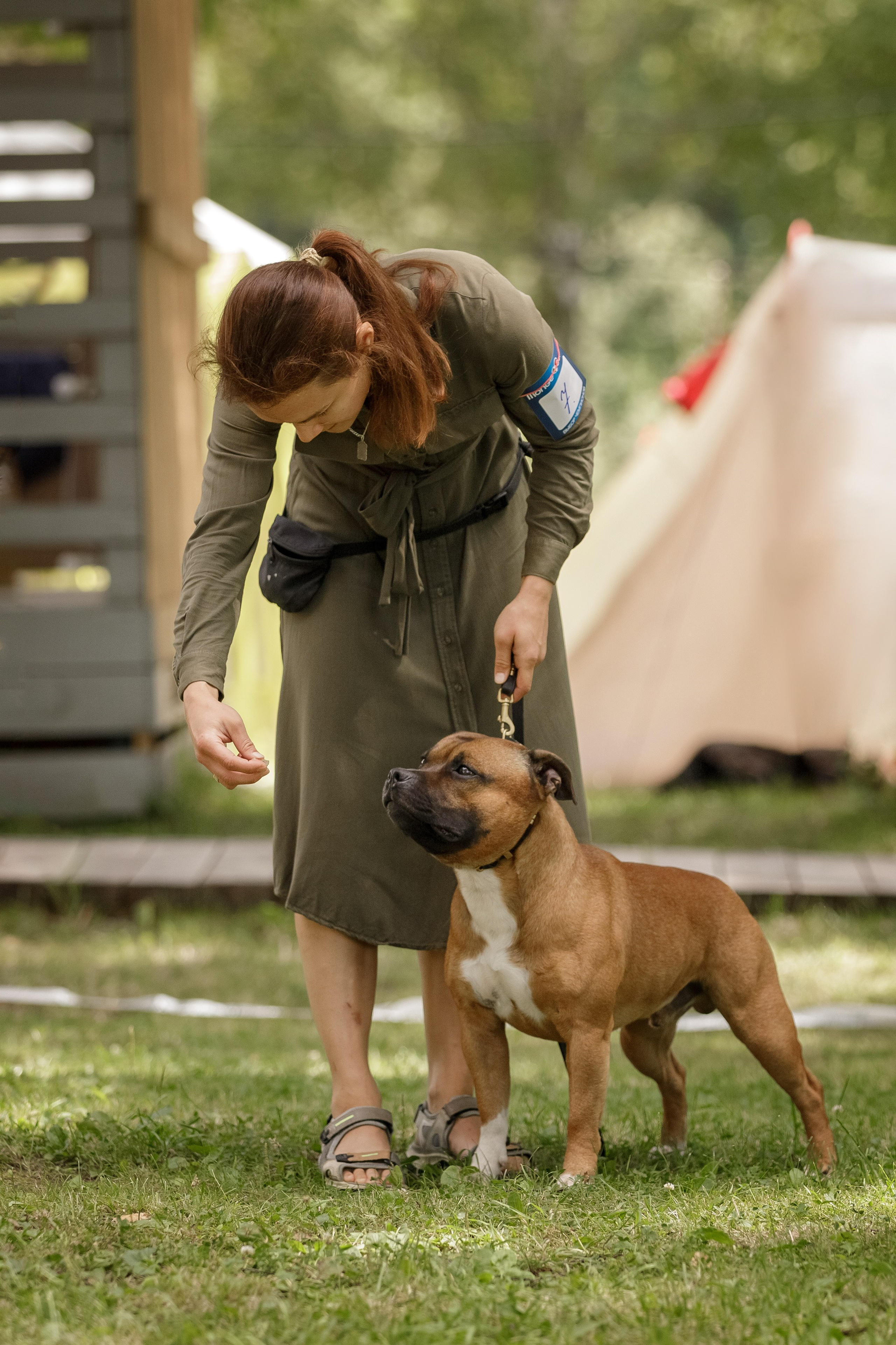 Выставки. Фотограф-анималист в Калуге Мария Шерскова