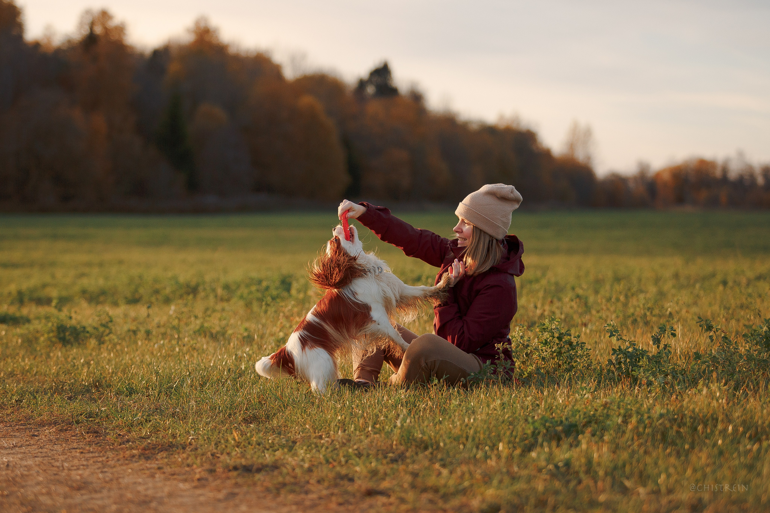 Октябрьский закат в полях. Алина и Лео. Фотограф-анималист Наталия Чистюхина в г. Сосновый Бор и ЛО
