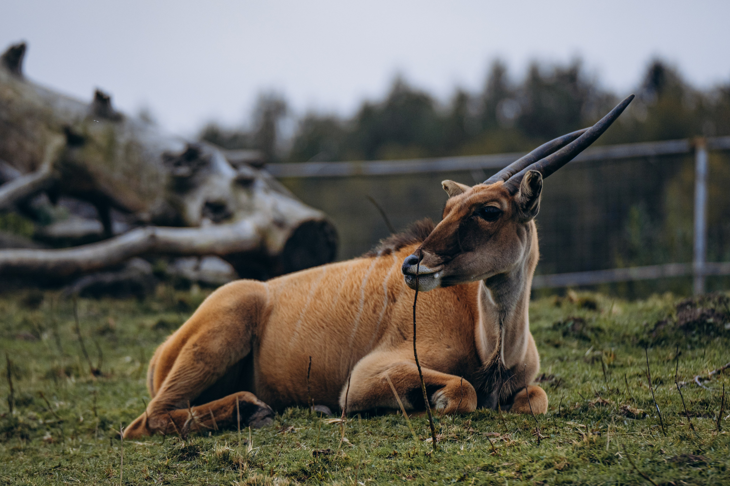 СЕВЕР. Event фотограф Степанова Александра