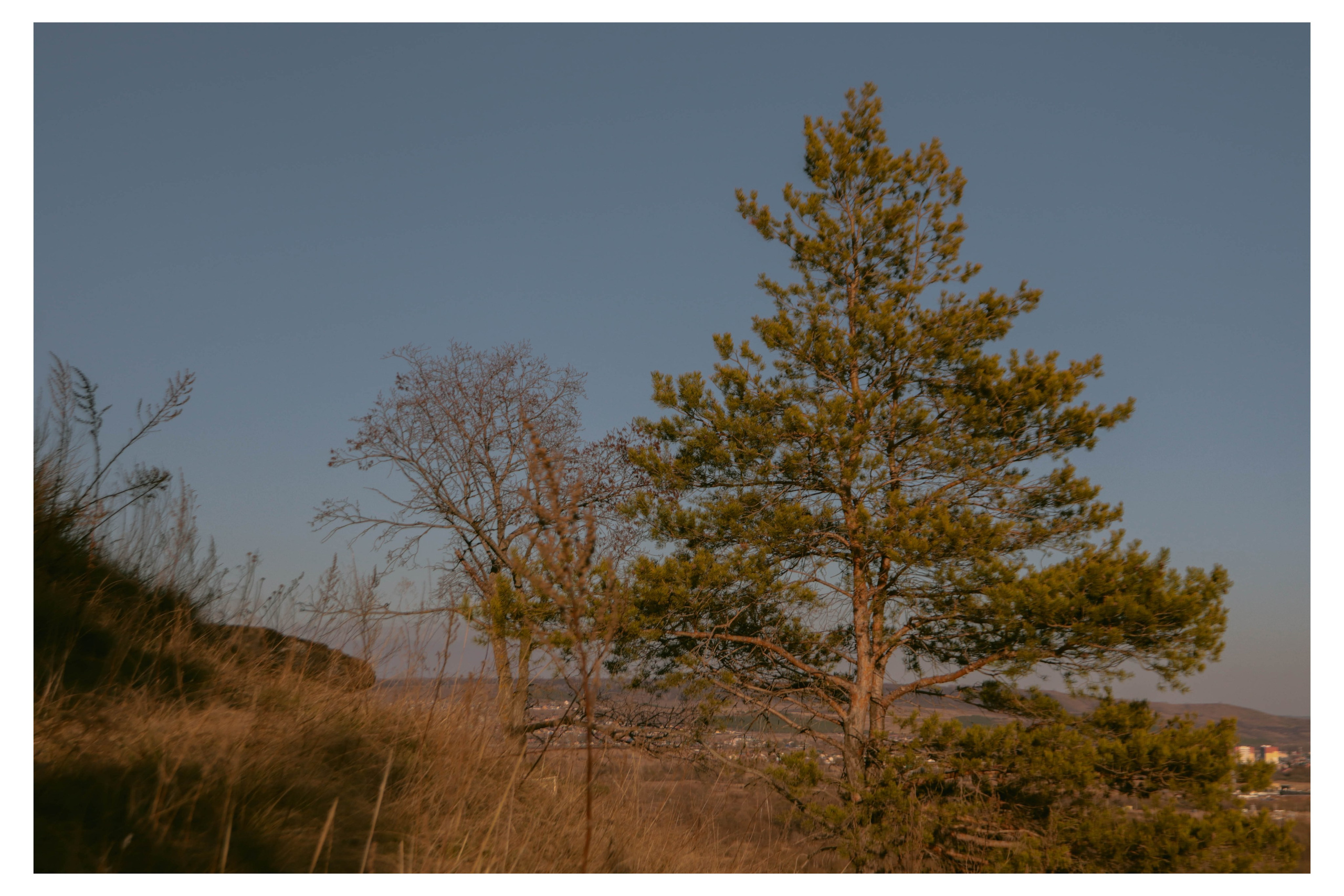 Альметьевск. Фотограф и видеограф в Бугульме Аня Трутнева