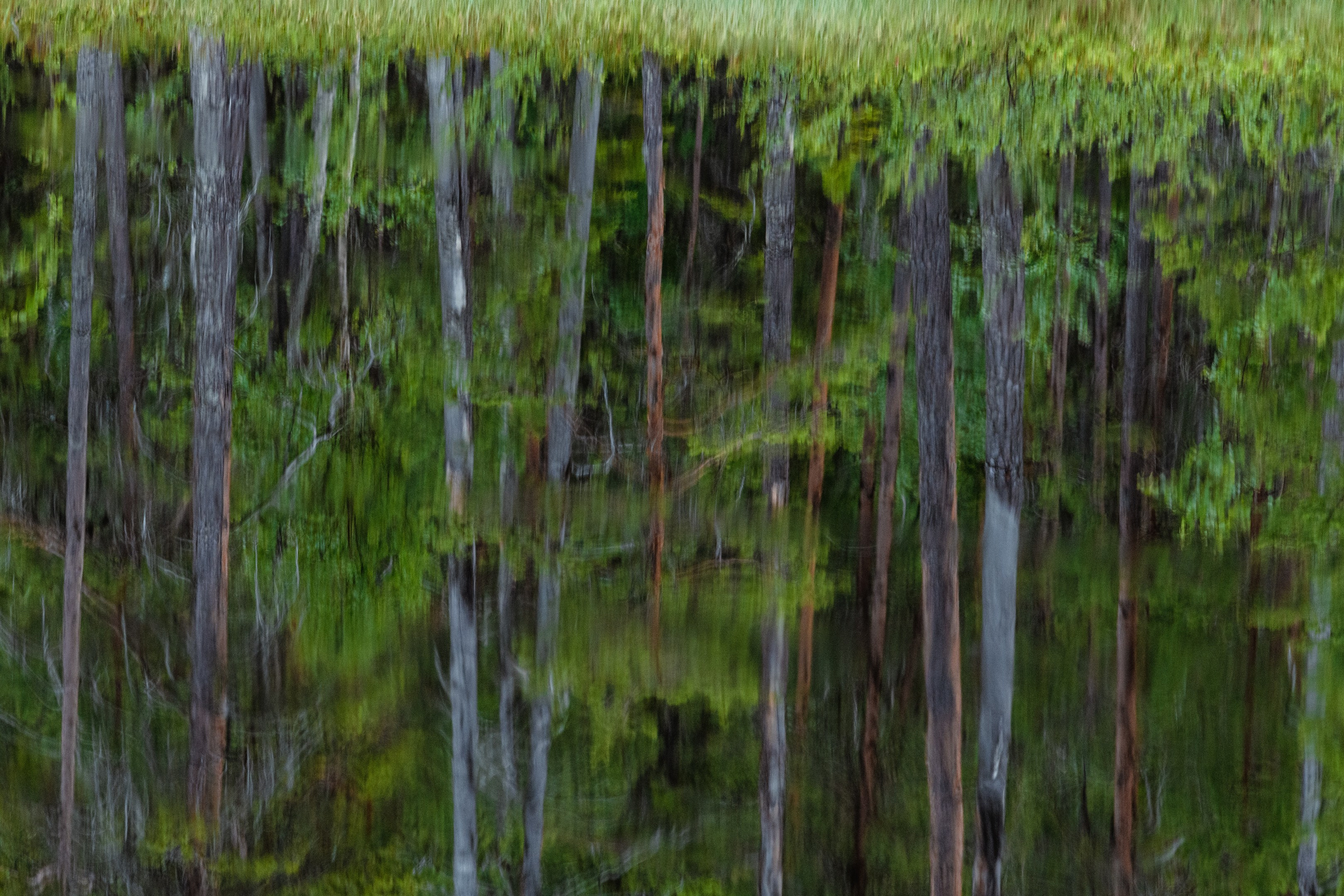 Водный поход II-ой к. с