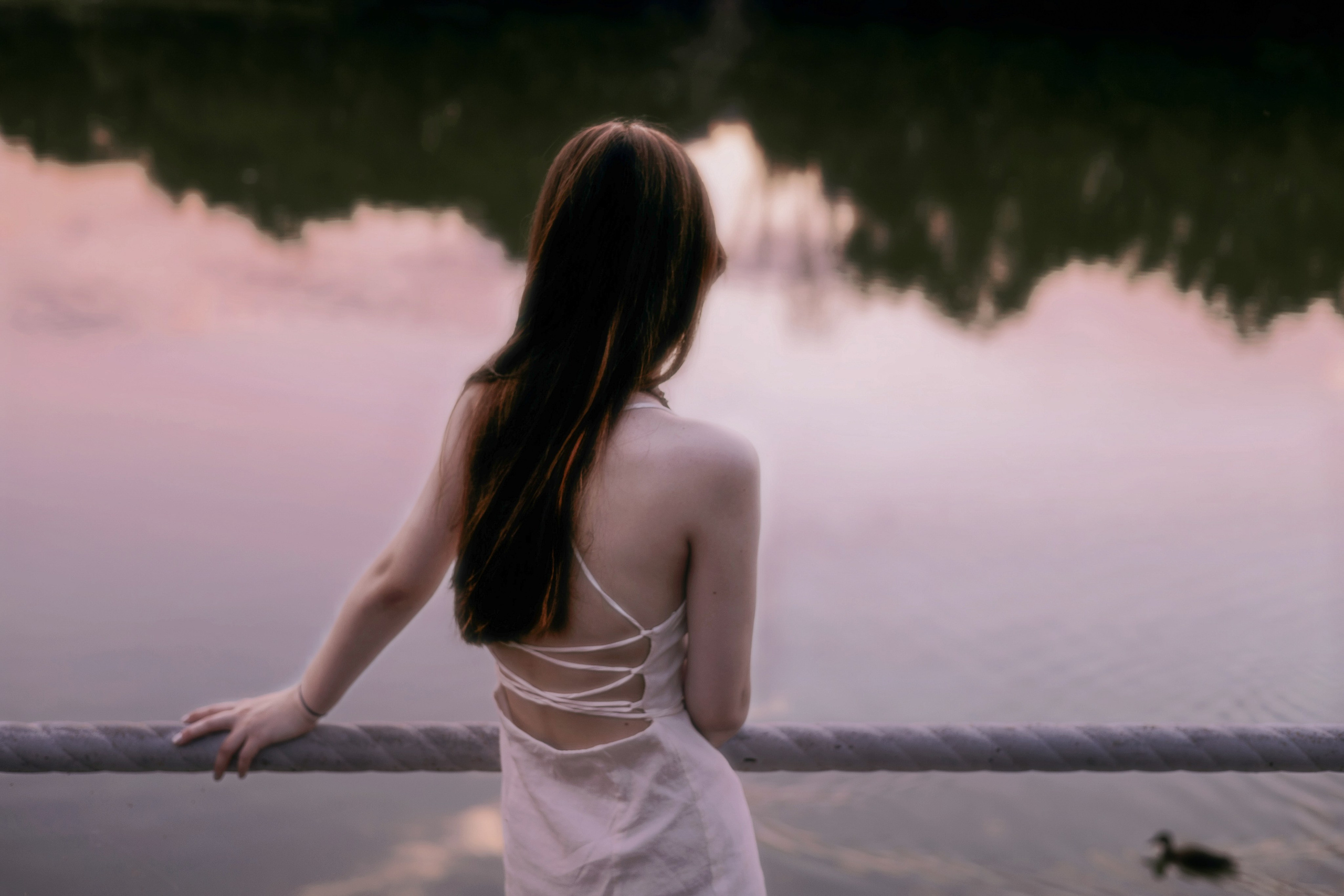 Norwegian wood. Фотограф Бишкек