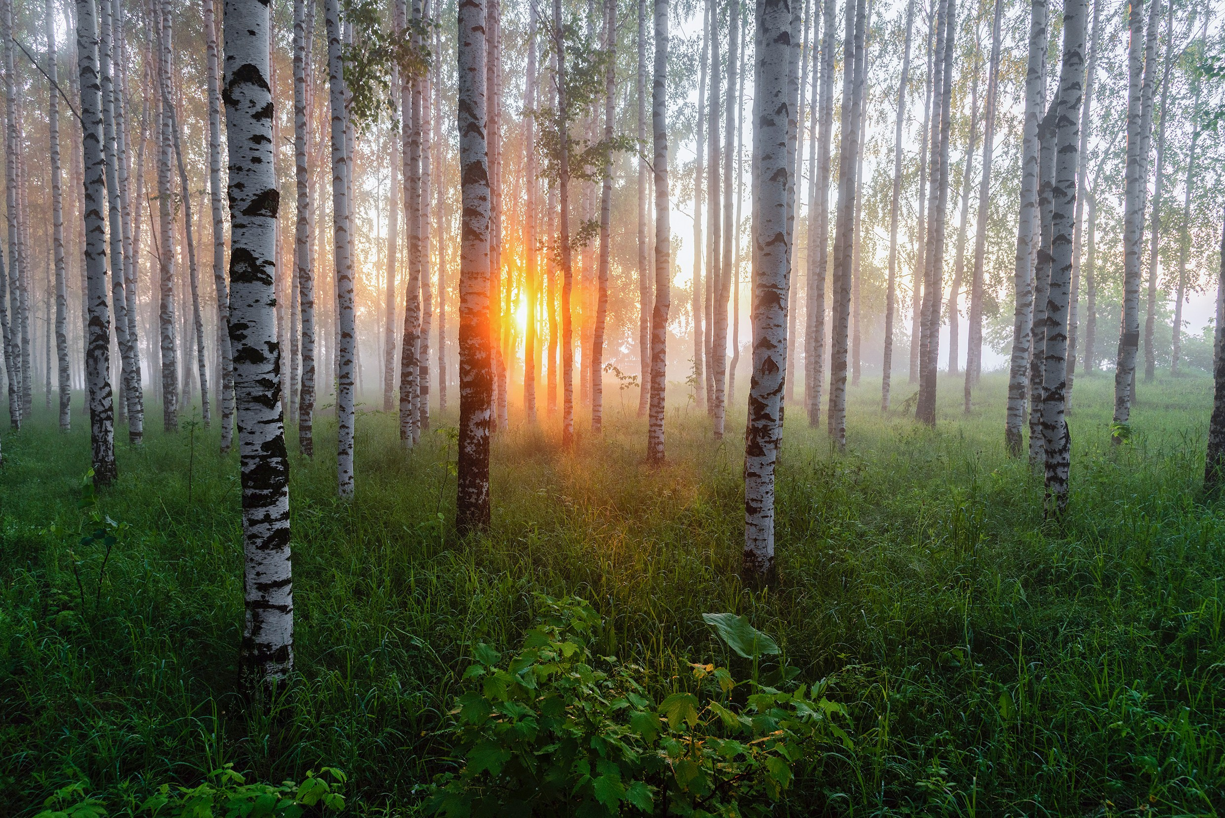 Вятка 18.06.26 — 21.06.26. Дмитрий Купрацевич профессиональный пейзажный и travel-фотограф