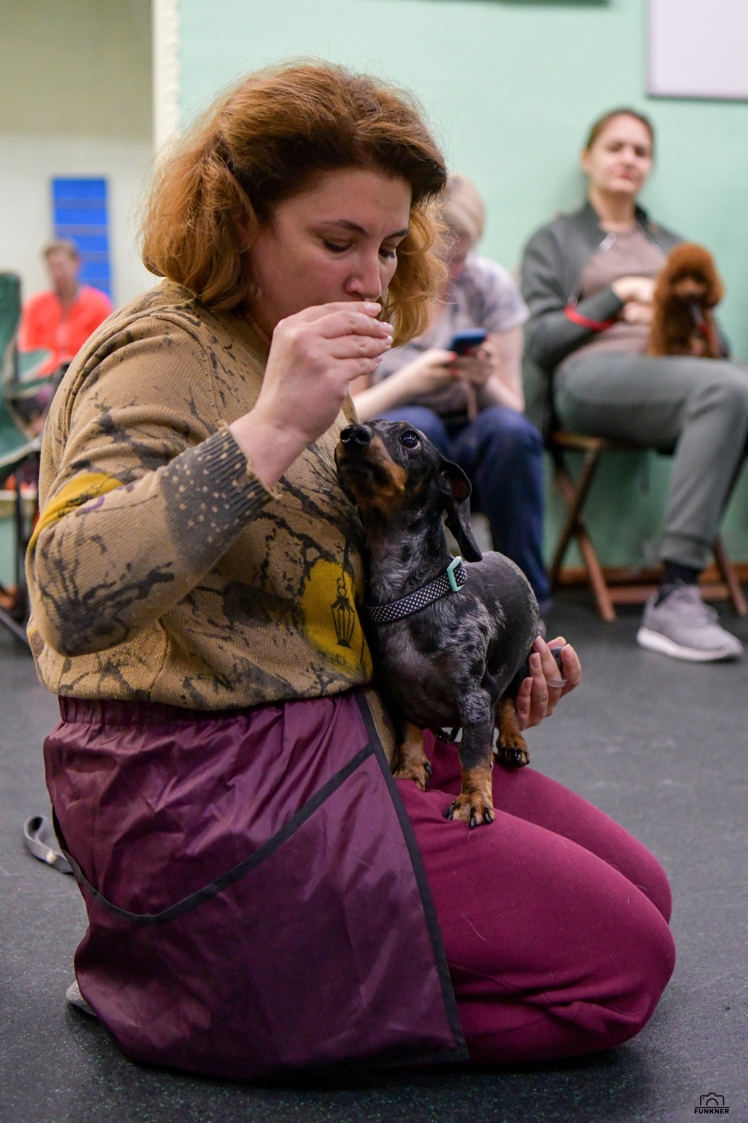 Кинологический клуб «Бодрый хвост». Свой взгляд через объектив