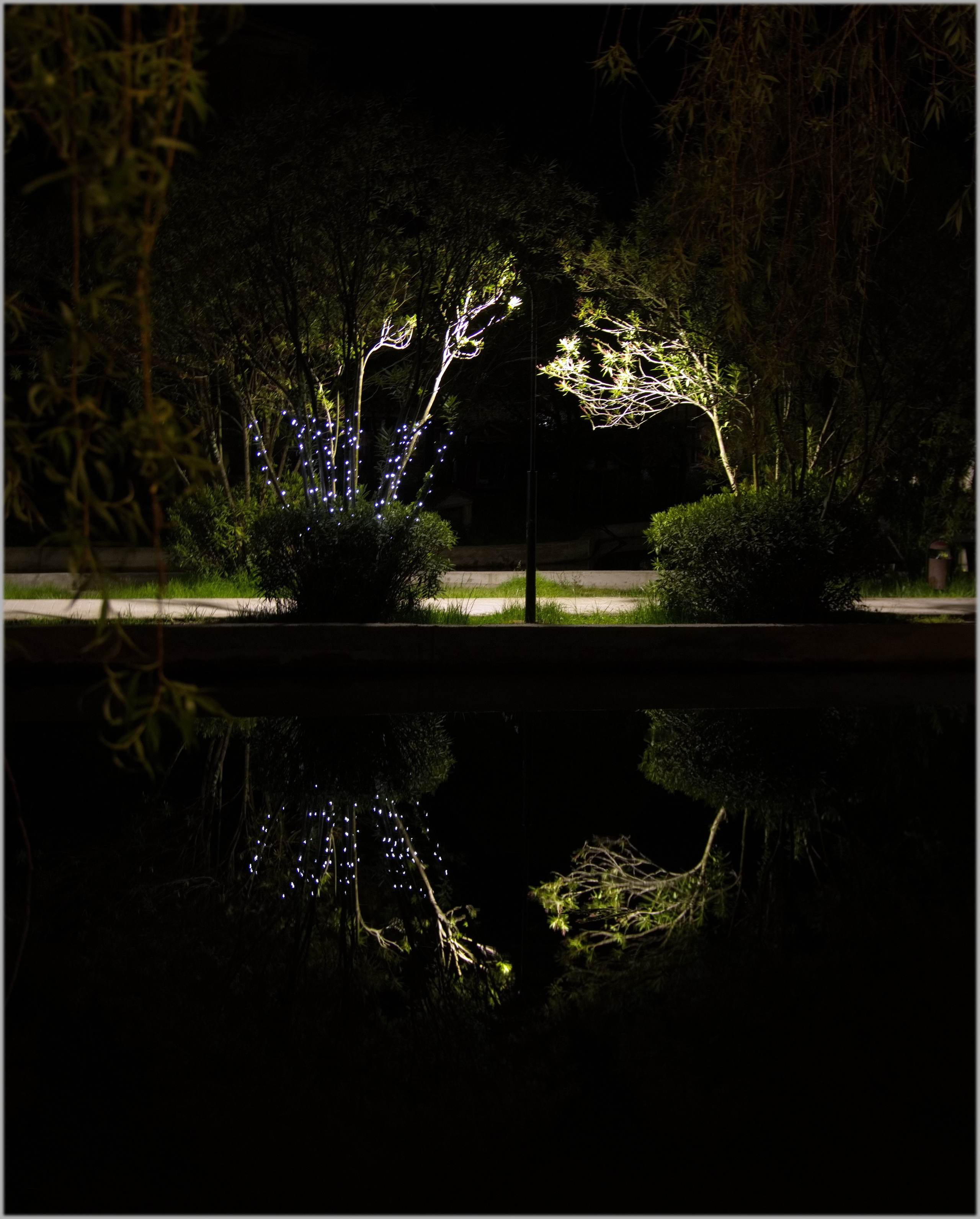 Парк в новом афоне. Вадим Шейдин