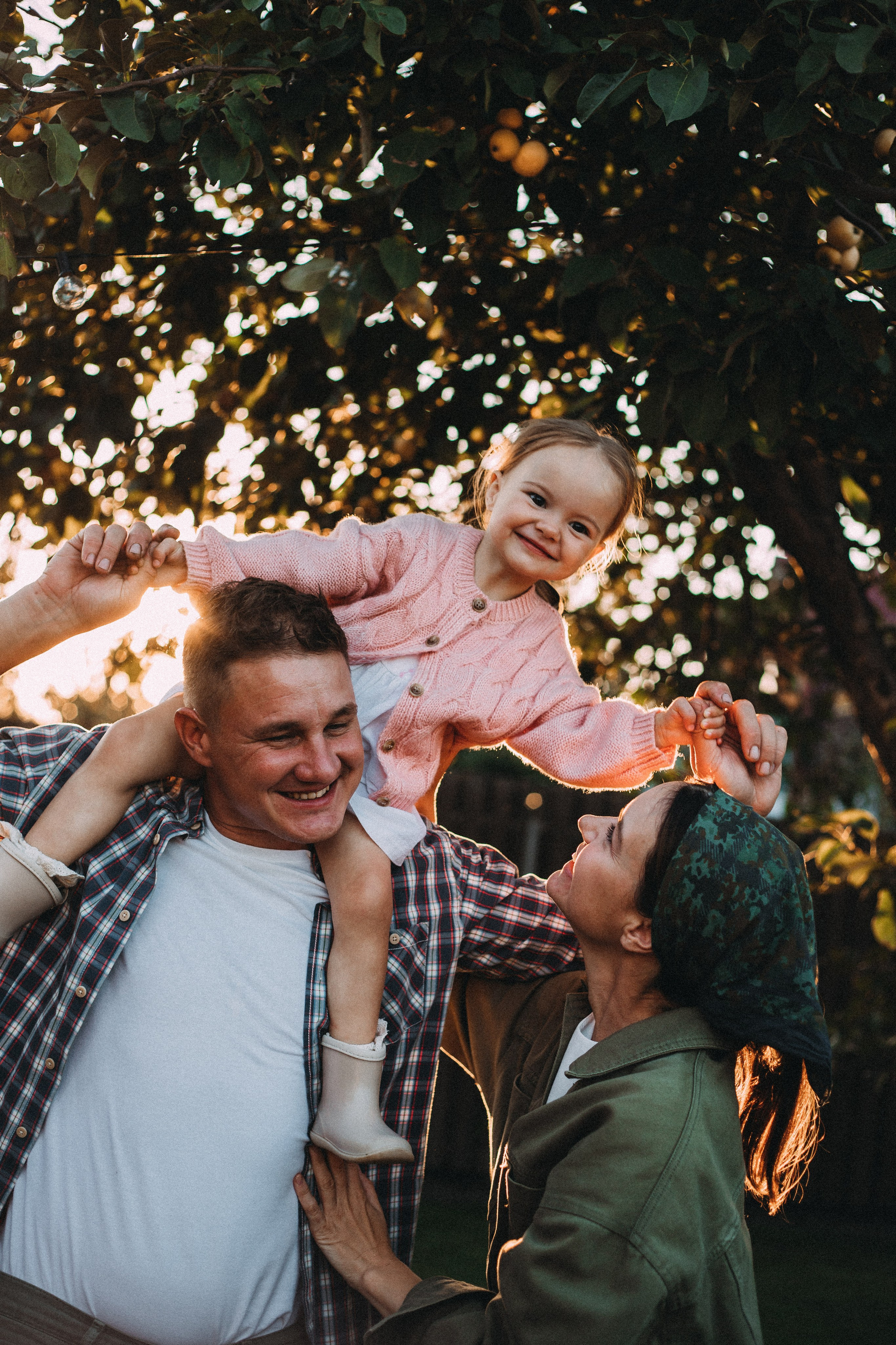 Дача. Главная