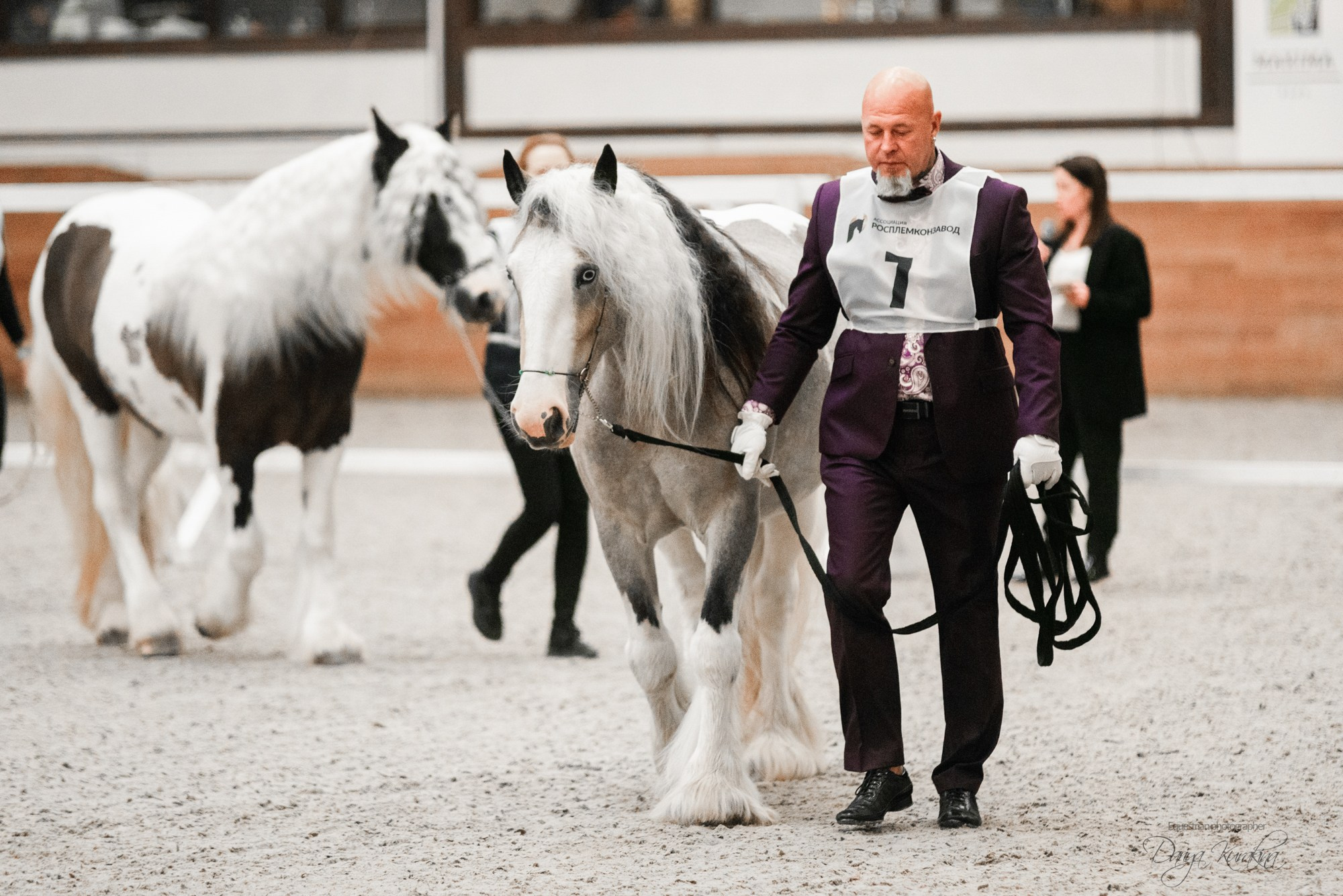 8-я международная выставка Конная Россия. Конный фотограф Куракина Дарья • Фотосессии с лошадьми