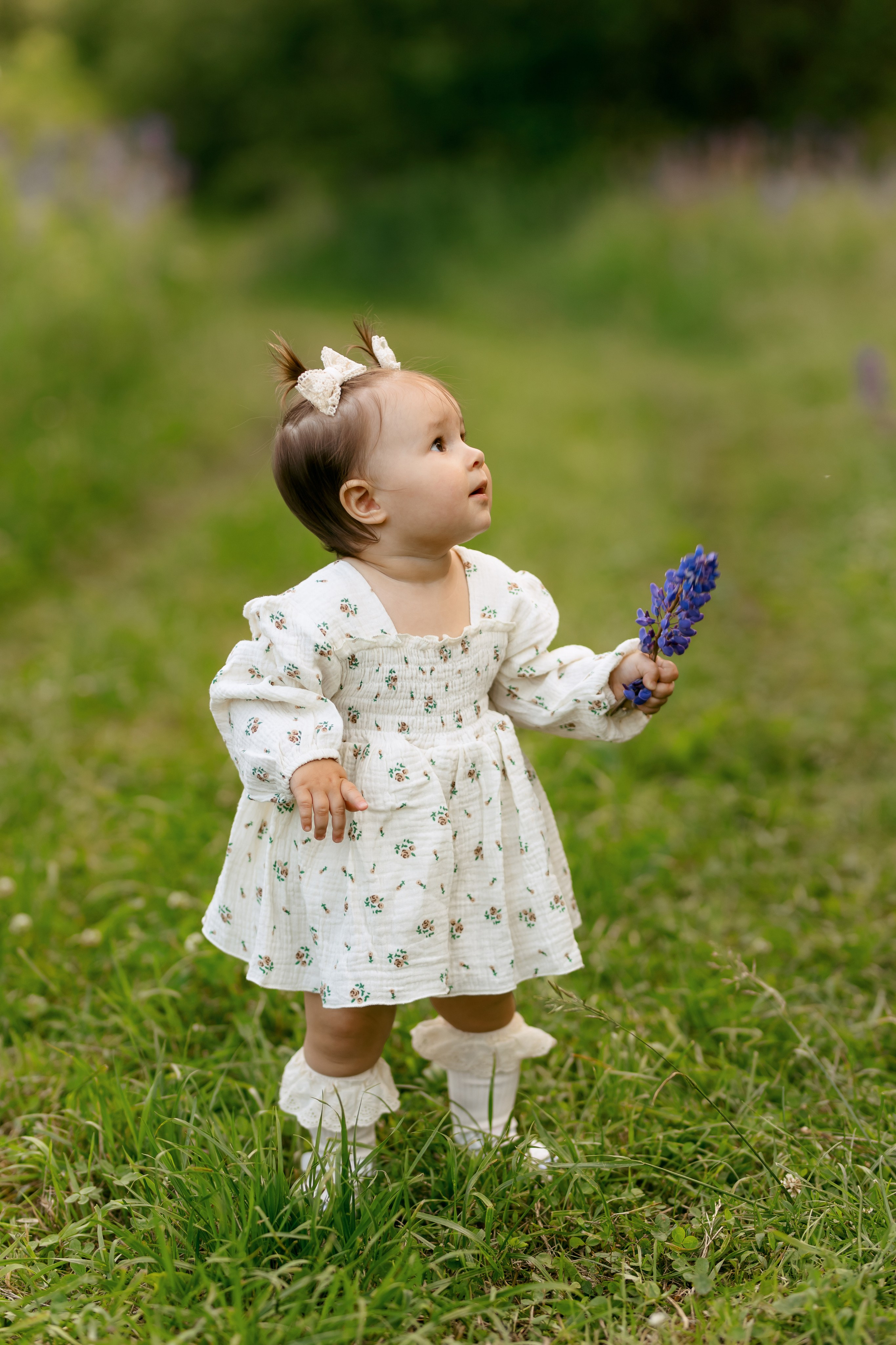 В люпинах. Свадебный и семейный фотограф в Туле и области Маша Костина