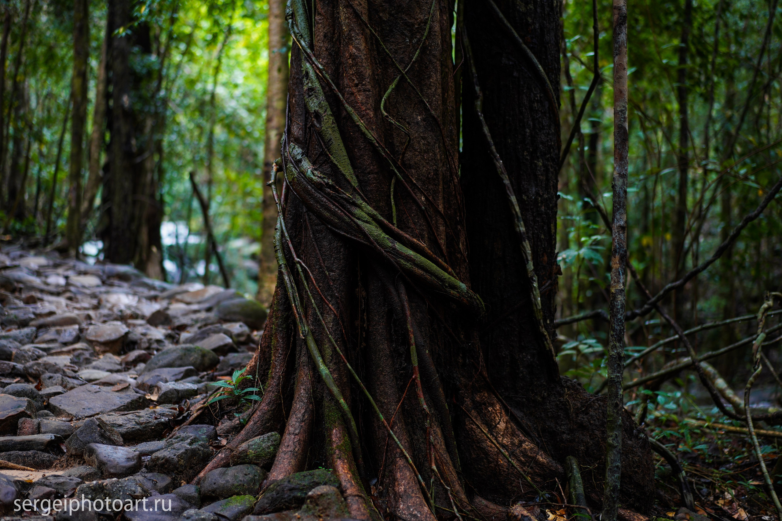 Остров Фукуок, Вьетнам. Фотограф Сергей Кишкель Дананг Нячанг Фукуок
