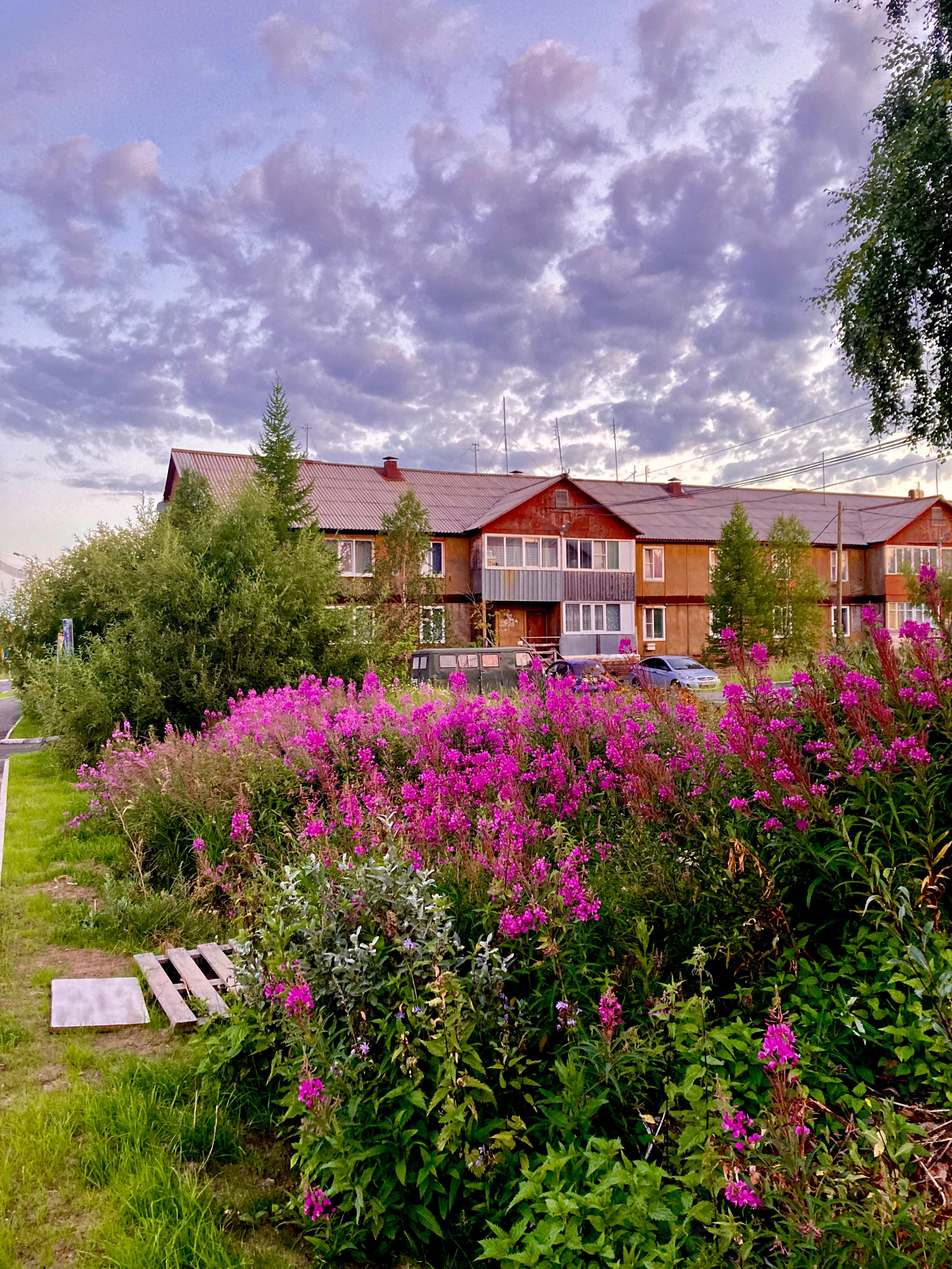 Город летом. Фотограф Екатерина Зорина