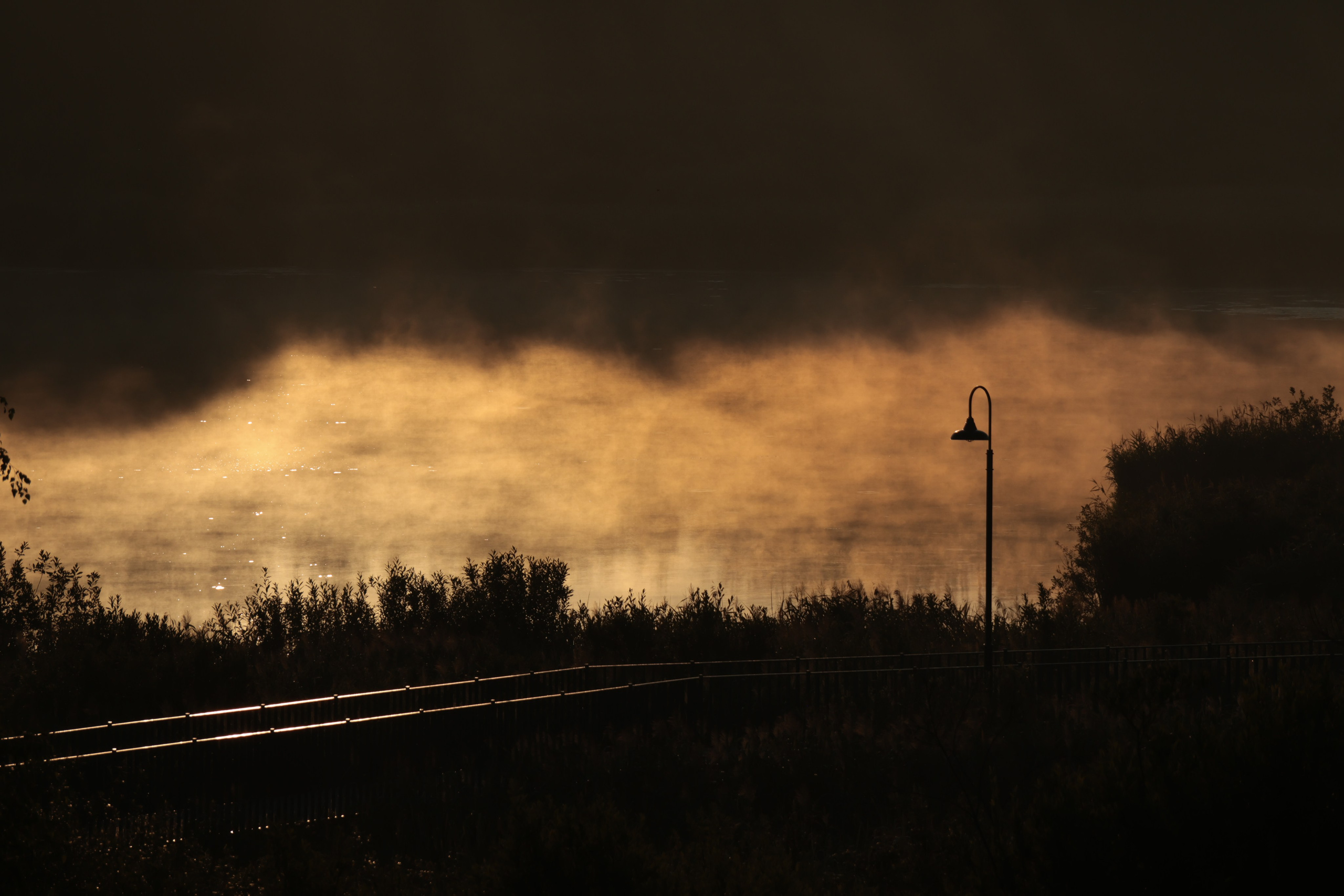 Сенеж. Jean De Vivre Gallery