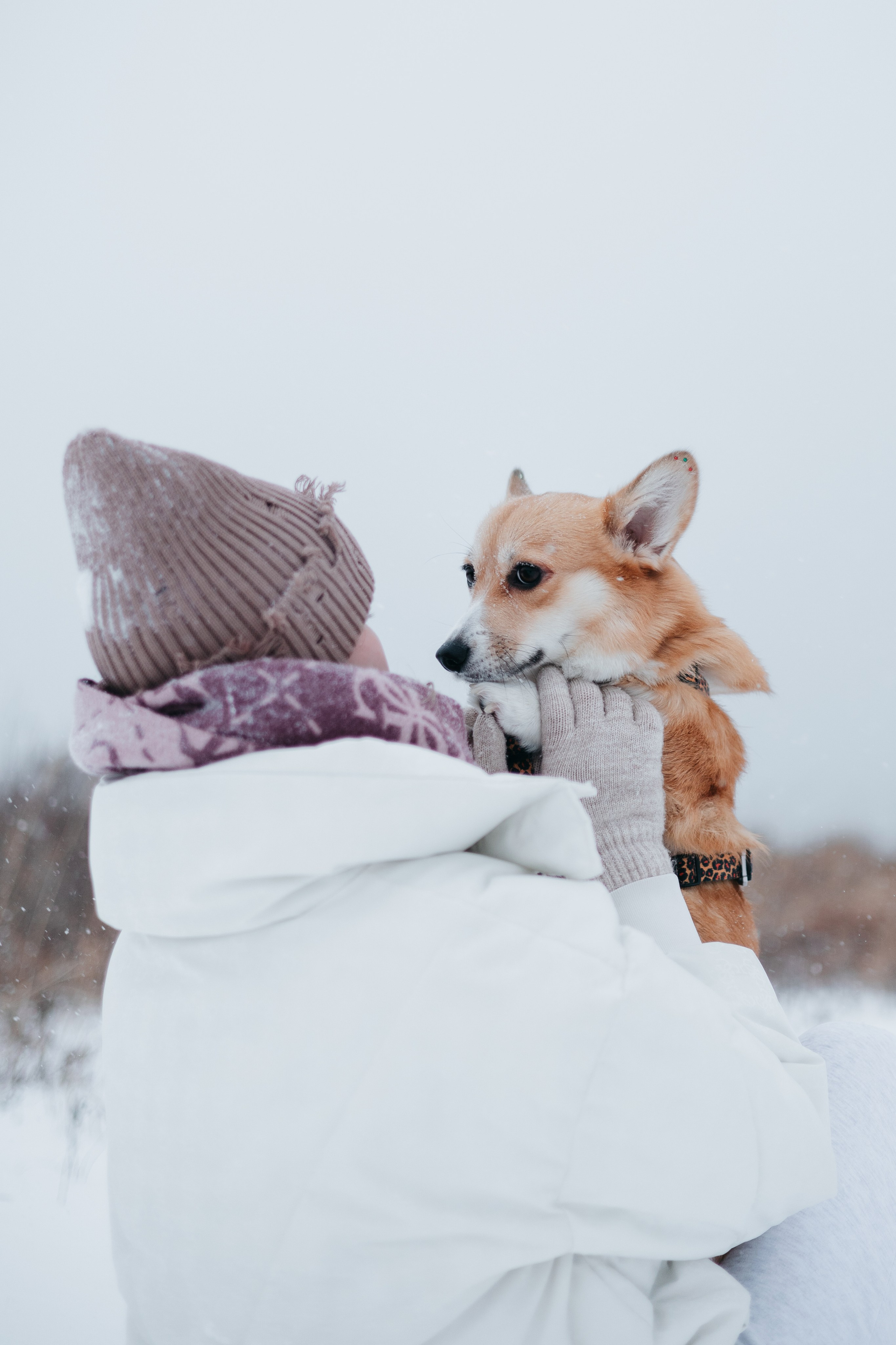 Лена, Лиза и Мия. Фотограф — анималист Владивосток, Алина