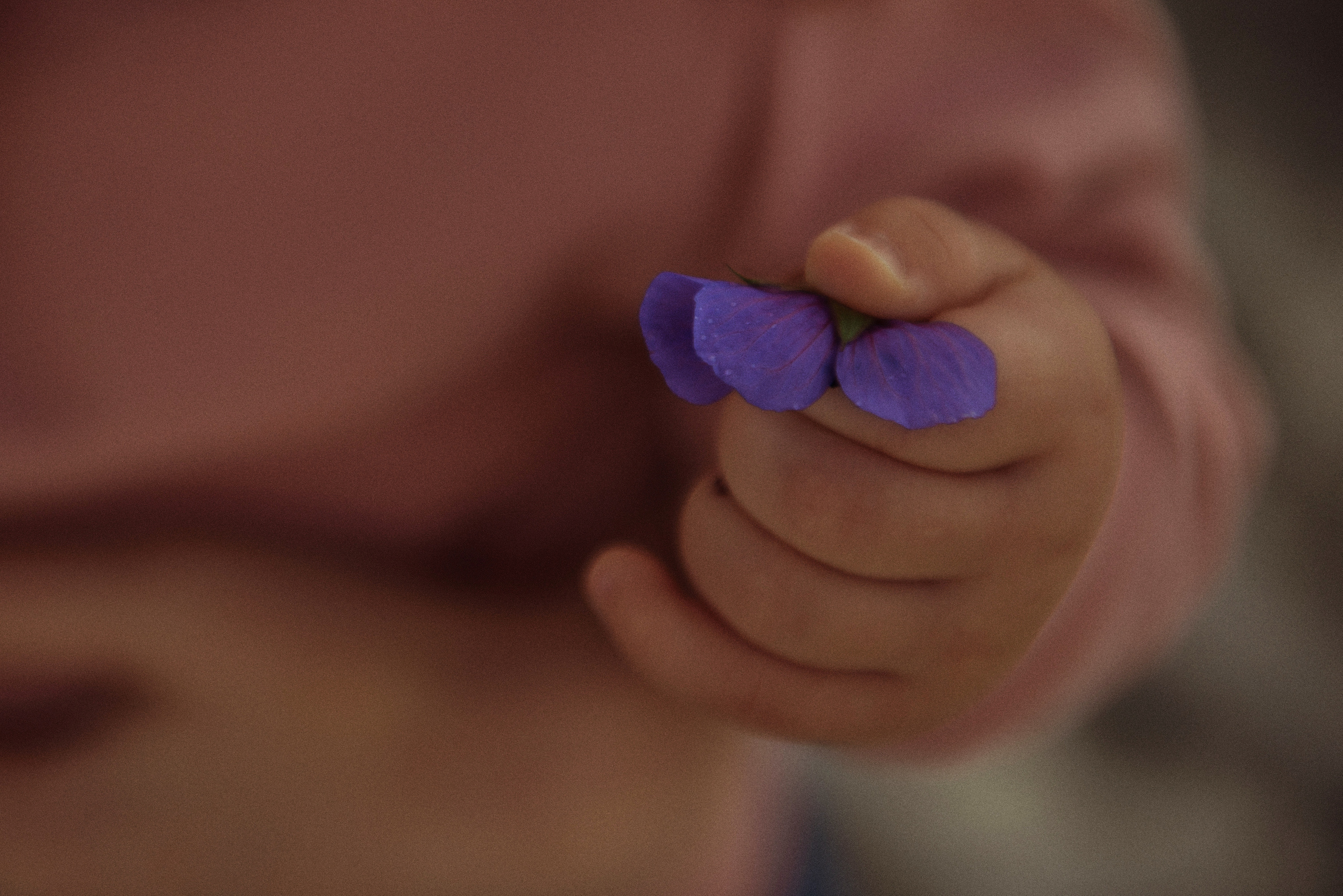 Юля. Свадебный, портретный, фотограф беременности в Нижнем Новгороде Алина Зиновьева