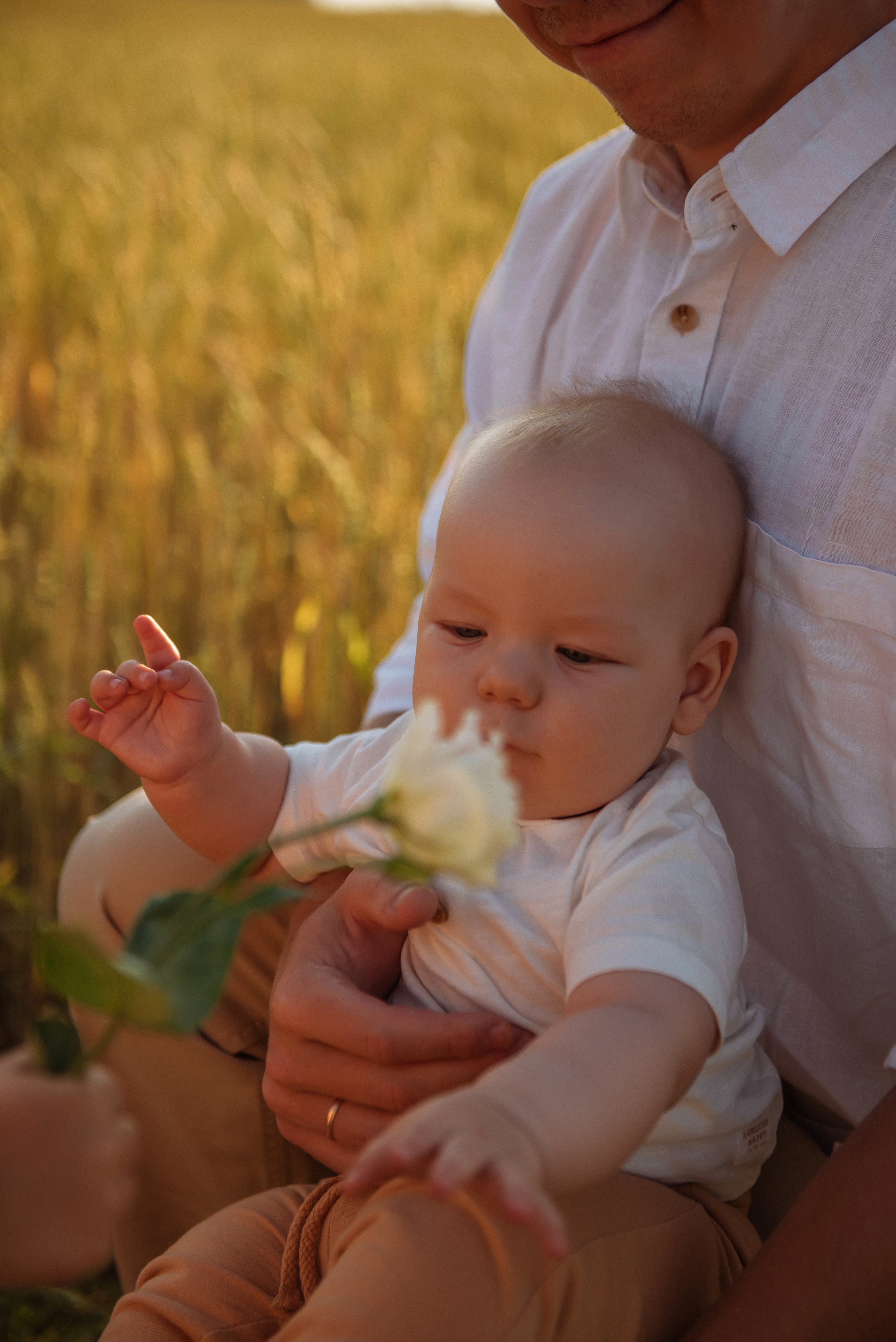 Логиновы. Свадебный, портретный, фотограф беременности в Нижнем Новгороде Алина Зиновьева