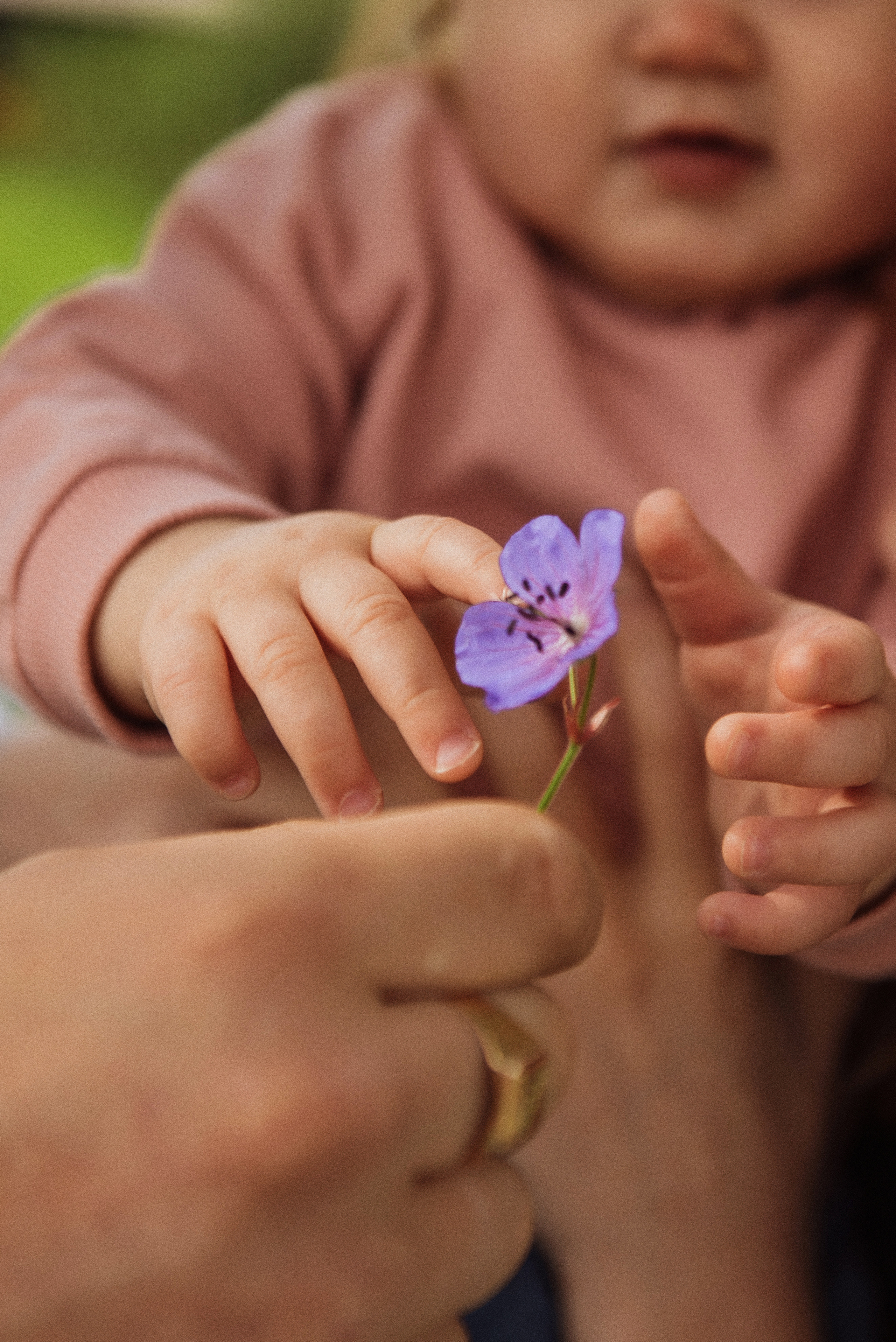 Юля. Свадебный, портретный, фотограф беременности в Нижнем Новгороде Алина Зиновьева