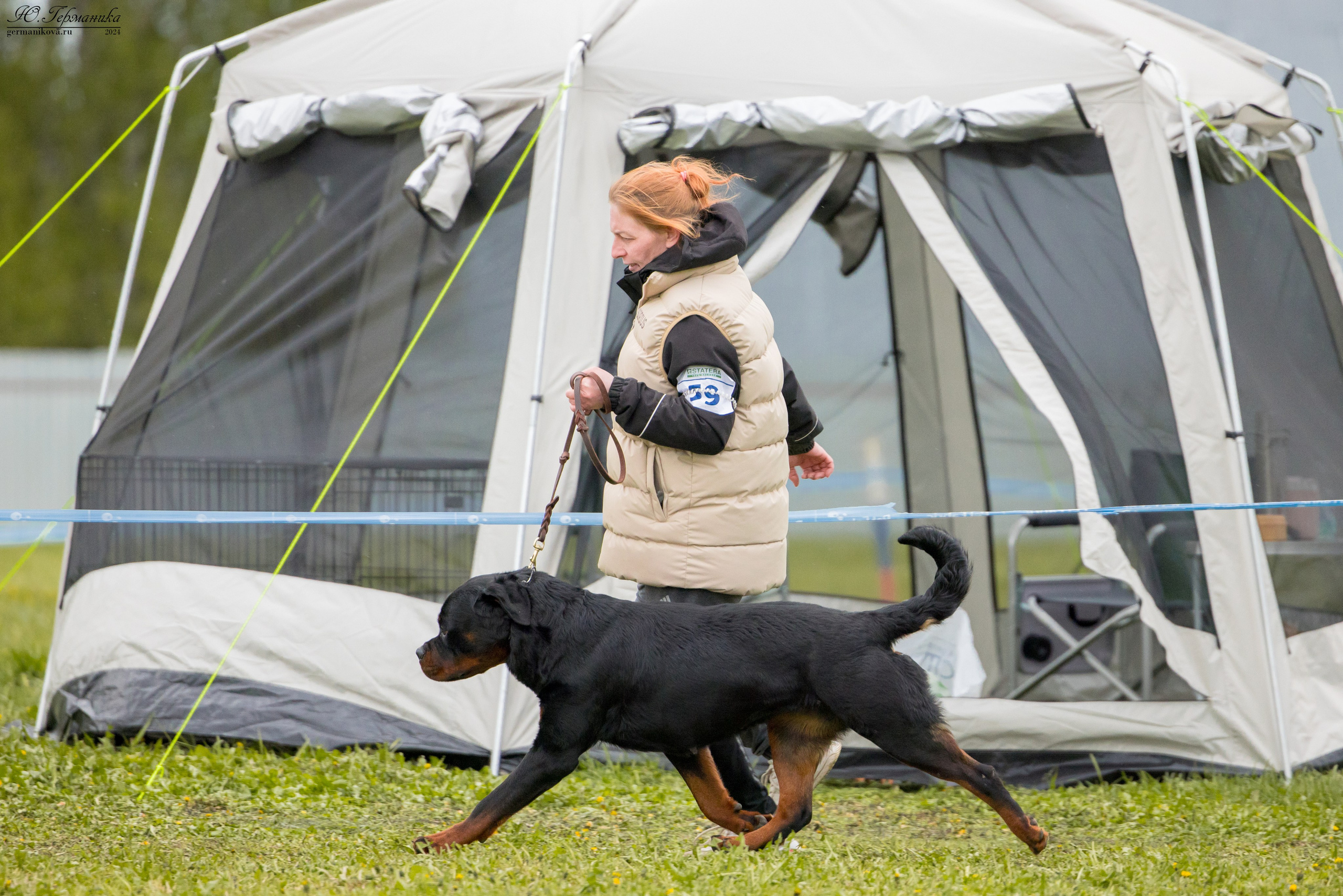 Нижний Новгород 11-12.05.2024 моно ротвейлеров. Фотограф-анималист Юлия Германика